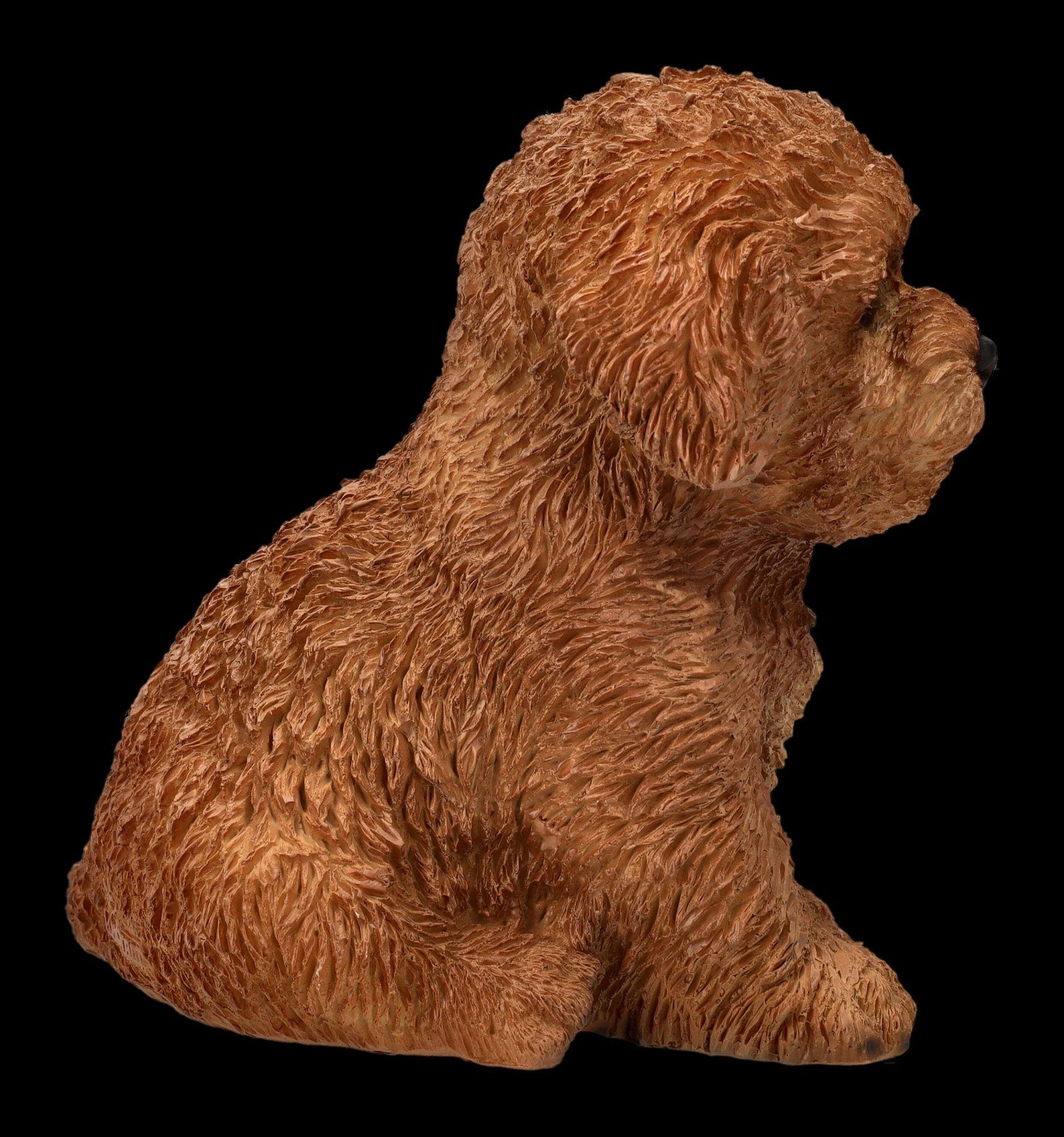 Figuren Shop GmbH Hund Tierfigur Dekofigur Bichon Figur Tierfigur Dekoration - Welpen Frise