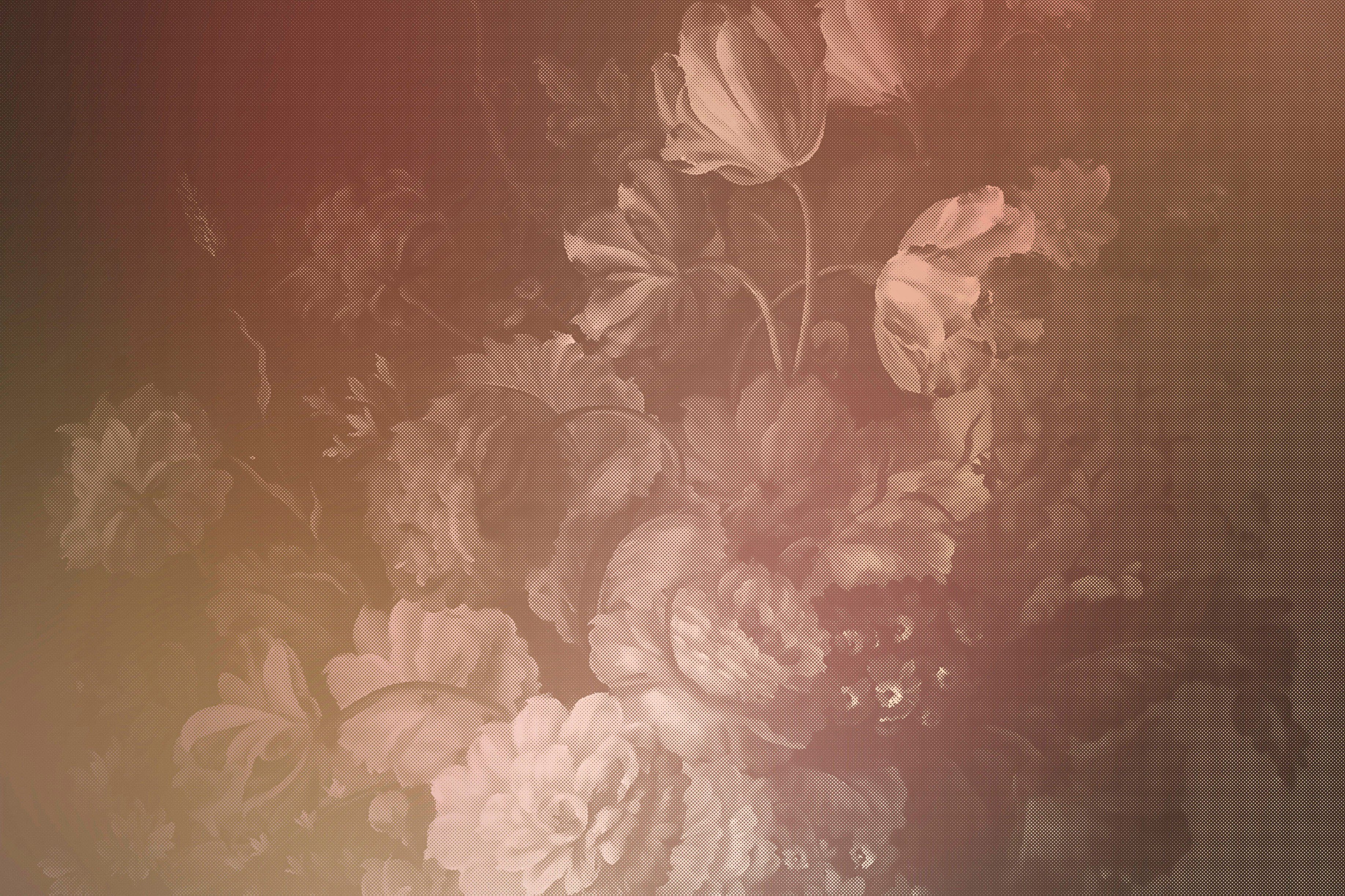 A.S. Création Bild Rosé Rosen Floral (1 3, Keilrahmen St), pastel dutch Leinwandbild Blumen