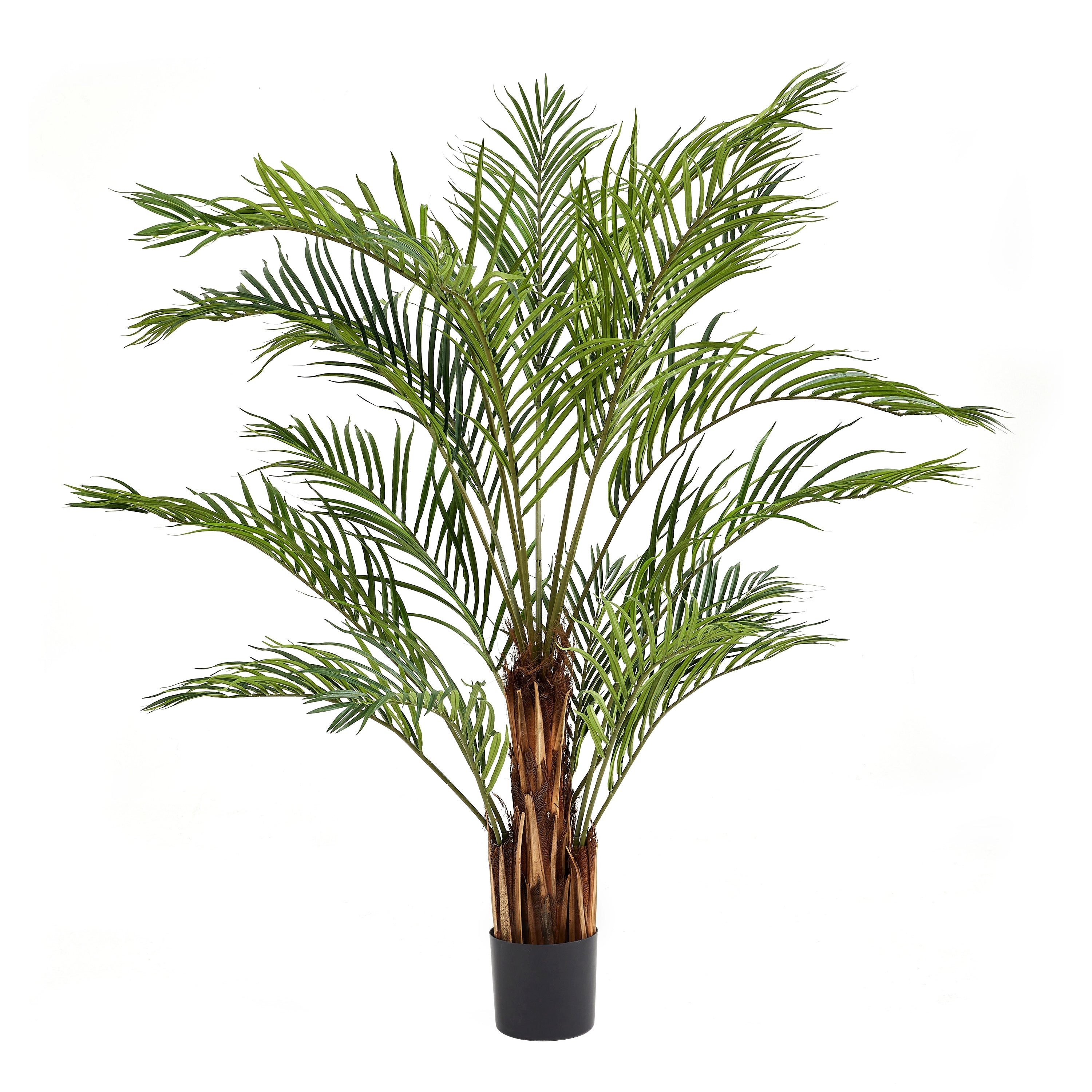 Kunstbaum Künstliche Kentia-Palme – Caliora, 180 cm, aplanta