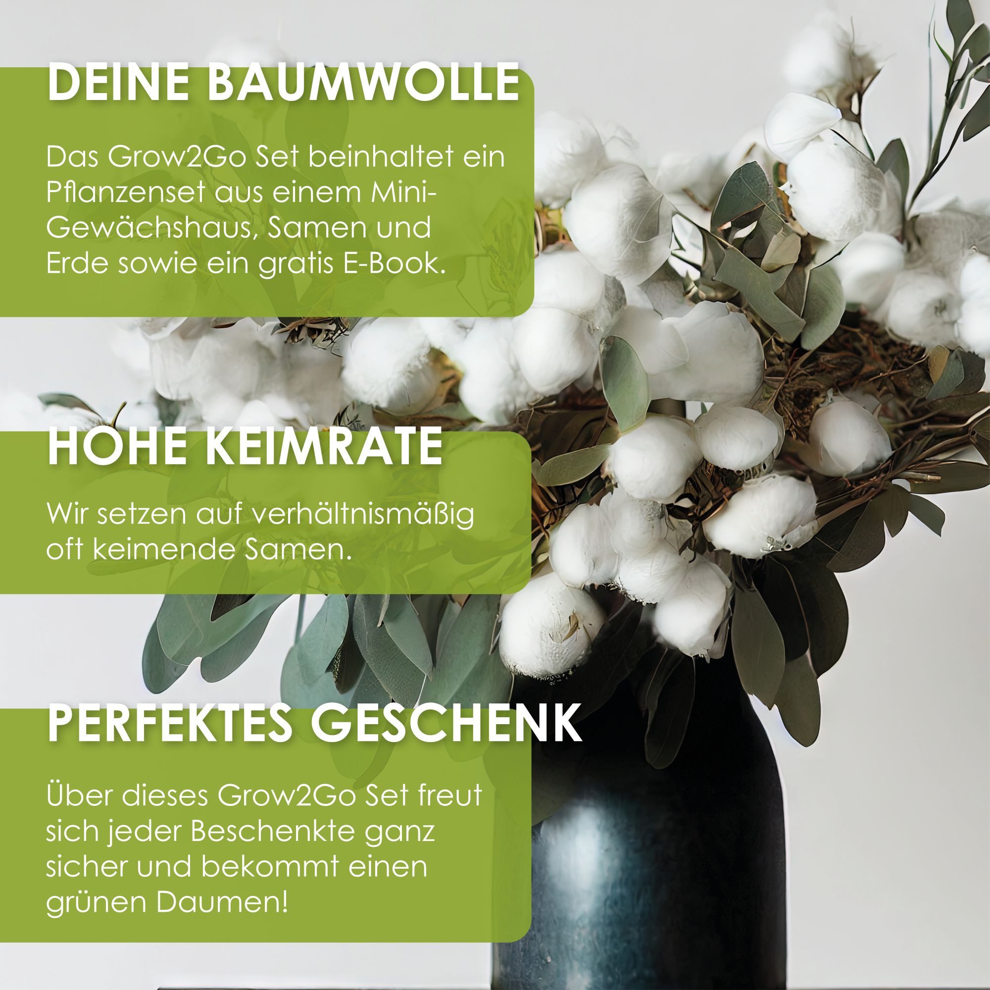 HappySeed Blumensamen Baumwoll-Pflanzset ideal zur Baumwollhochzeit - Gewächshaus & Samen, Pflanze – Bild 5 von 5