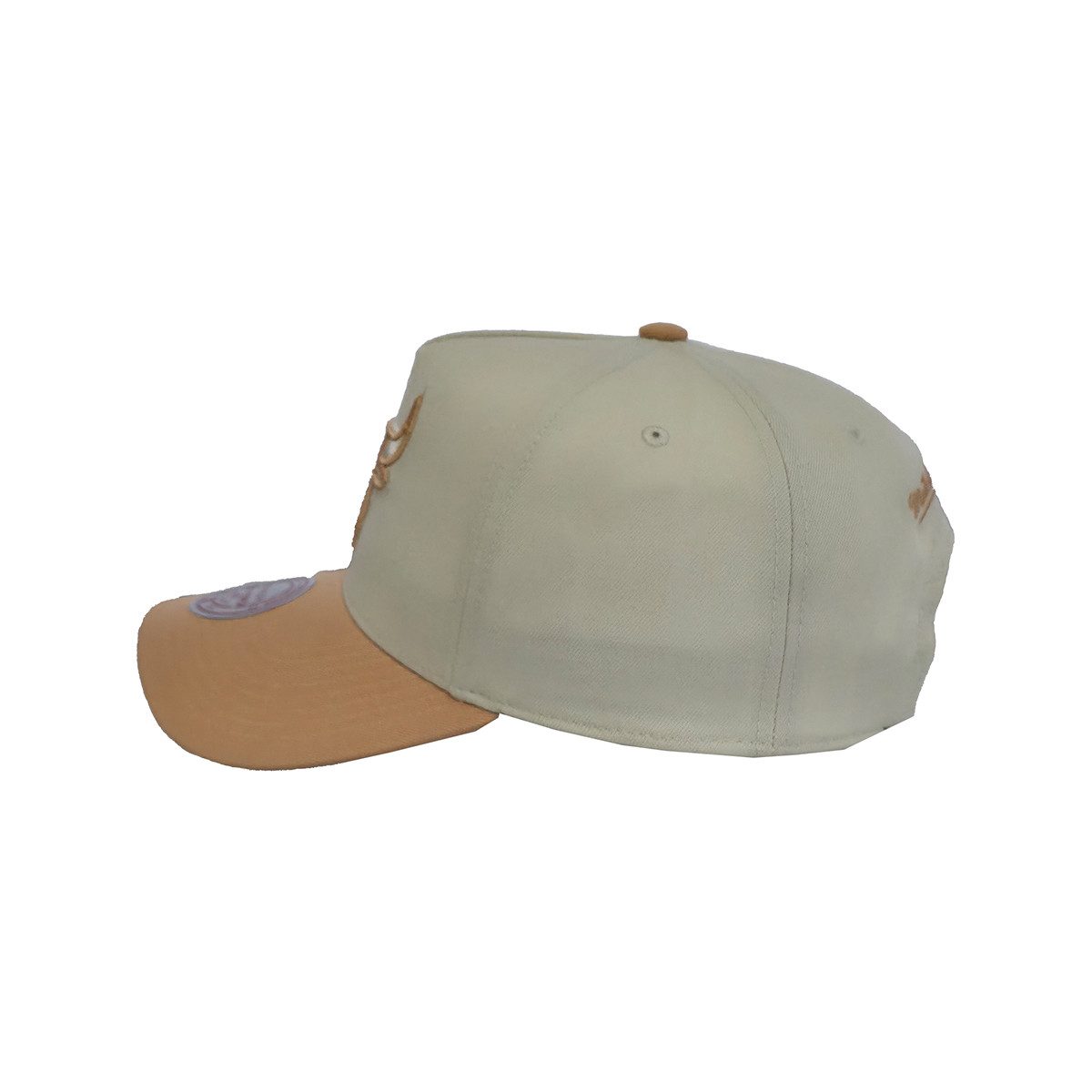 Mitchell & Ness Snapback Cap Chicago Bulls Dust Pro (kein Set) leicht gebogene Schirm