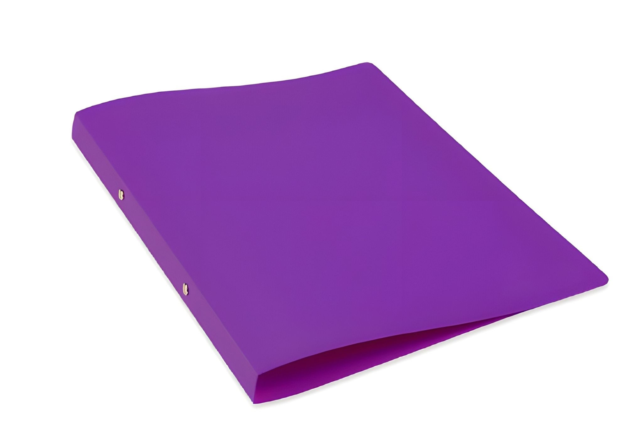 Ringbuchmappe Staufen PP-Ringbuch A4 17mm violett