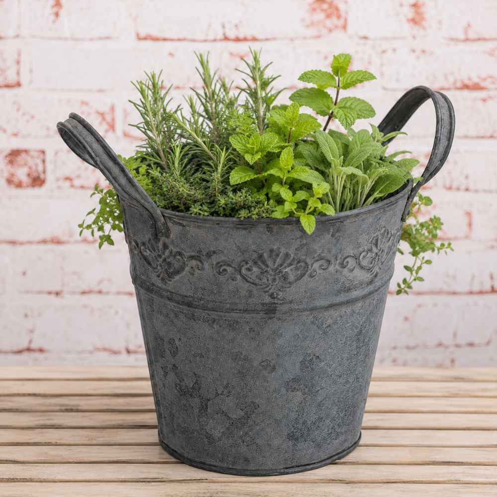 AltoBelli Blumentopf AltoBelli Blumentopf SECCHIO Metall Eimer mit 2 Henkeln 15x16 cm