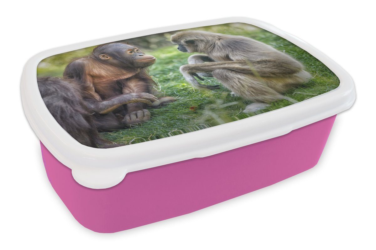 MuchoWow Lunchbox Affen - Tiere - Familie, Kunststoff, (2-tlg), Brotbox für Erwachsene, Brotdose Kinder, Snackbox, Mädchen, Kunststoff rosa