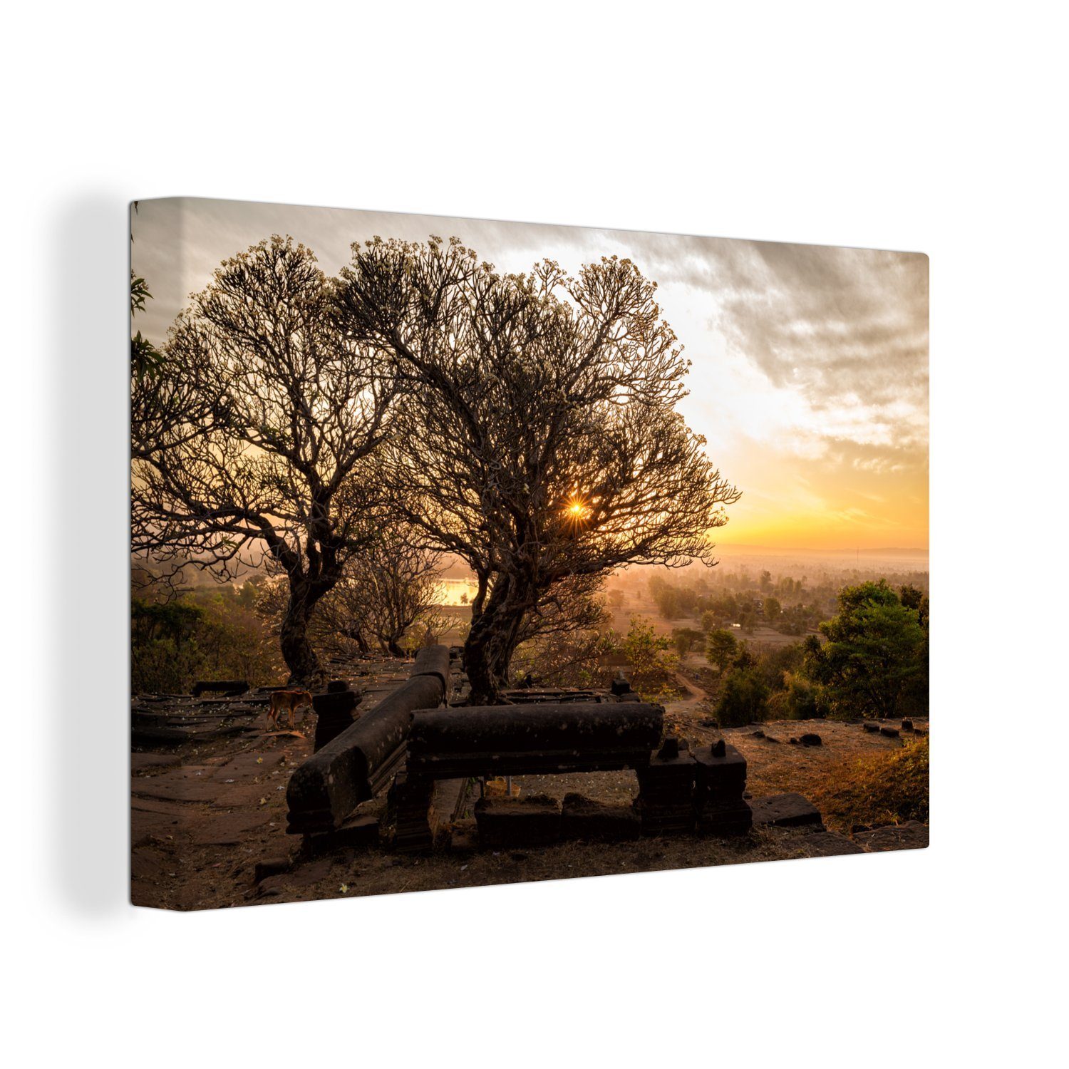 OneMillionCanvasses® Leinwandbild Prächtiger Baum mit schönem orangefarbenem Sonnenaufgang in Wat Phou, (1 St), Wandbild Leinwandbilder, Aufhängefertig, Wanddeko, 30x20 cm