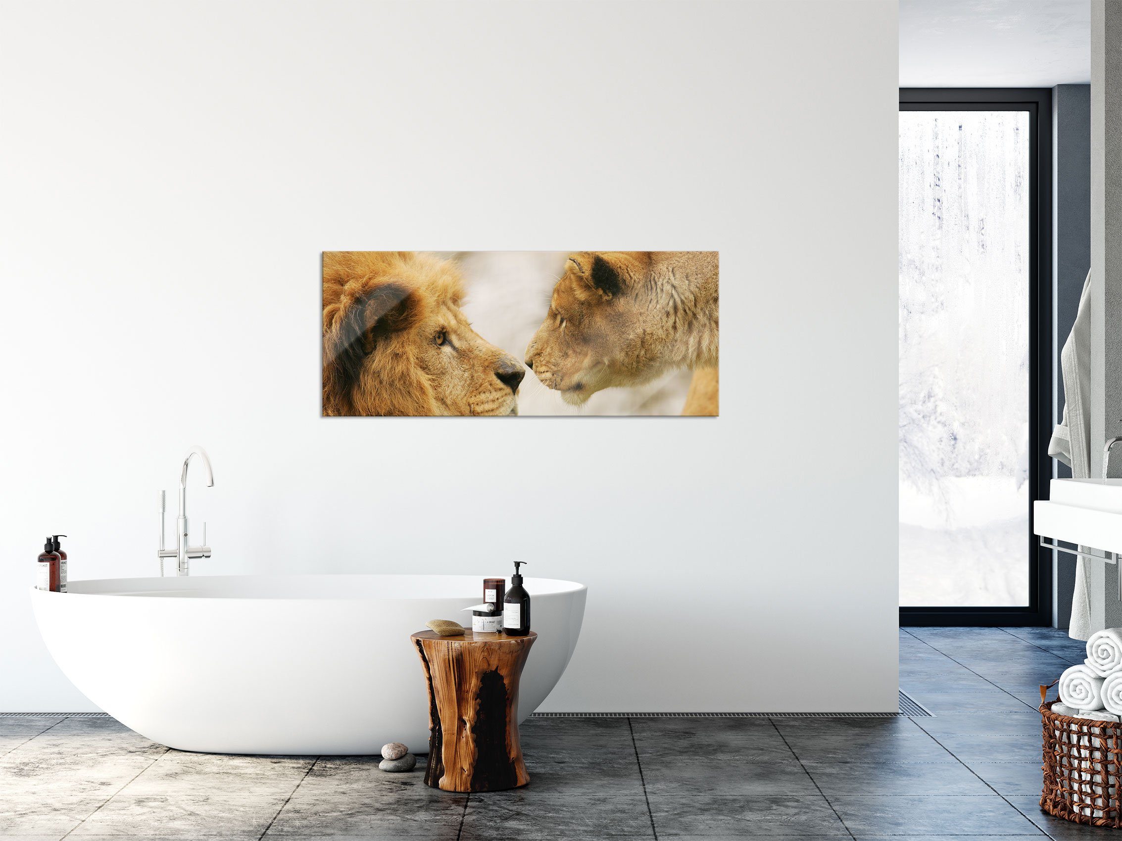 Löwenpaar, Aufhängungen aus (1 Abstandshalter Löwenpaar Verliebtes Verliebtes Glasbild Pixxprint St), Echtglas, Glasbild inkl. und