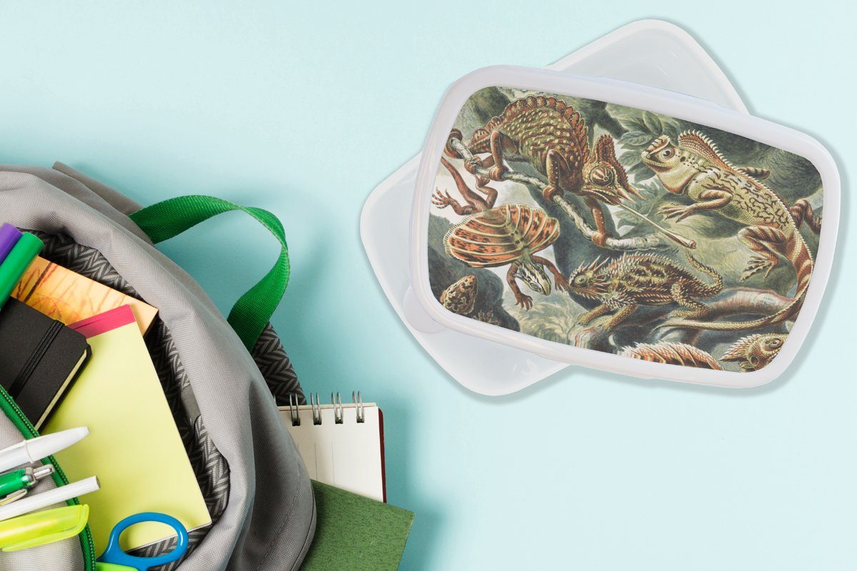 Jungs und - - Erwachsene, Lunchbox Ernst Brotdose, Mädchen Jahrgang - MuchoWow für Salamander Kunststoff, und Brotbox Kunst für - weiß Haeckel Kinder (2-tlg), Tiere,