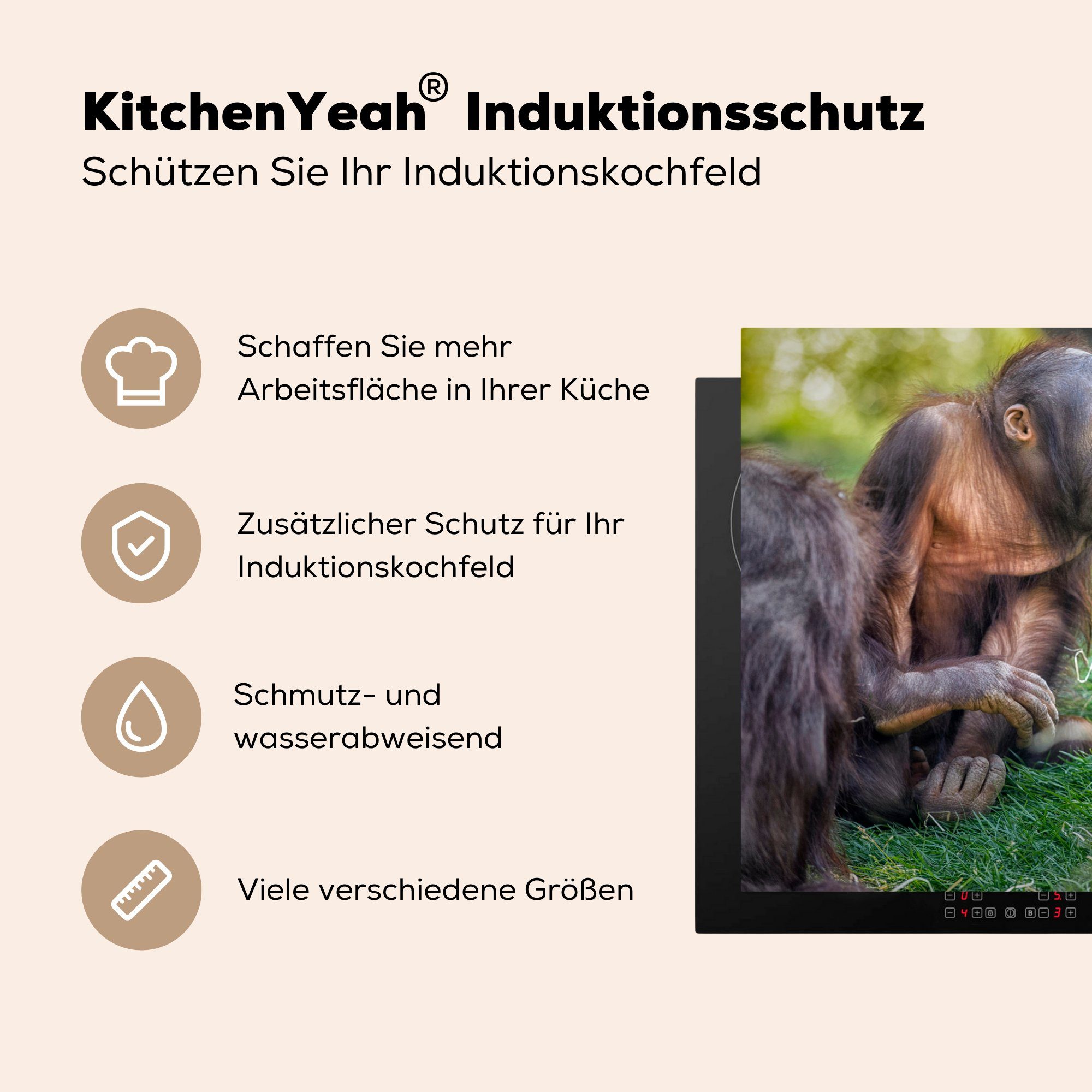 81x52 Tiere, Herdblende-/Abdeckplatte (1 küche, Gras Schutz Induktionskochfeld MuchoWow tlg), Affe Vinyl, die cm, - - für Ceranfeldabdeckung