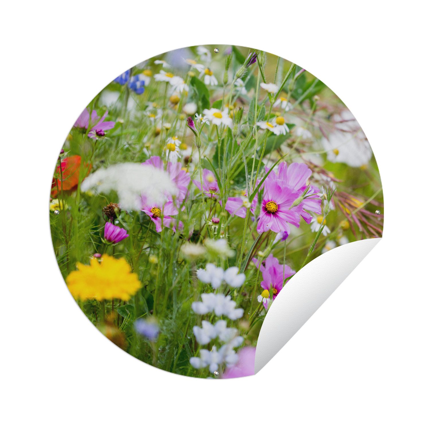 OnlyWow Poster für Garten Blumen - Natur - Grün - Gras - Lila - Weiß, Gartenposter, Outdoor Bilder, Wetterfest, Garten Deko, 60x60 cm