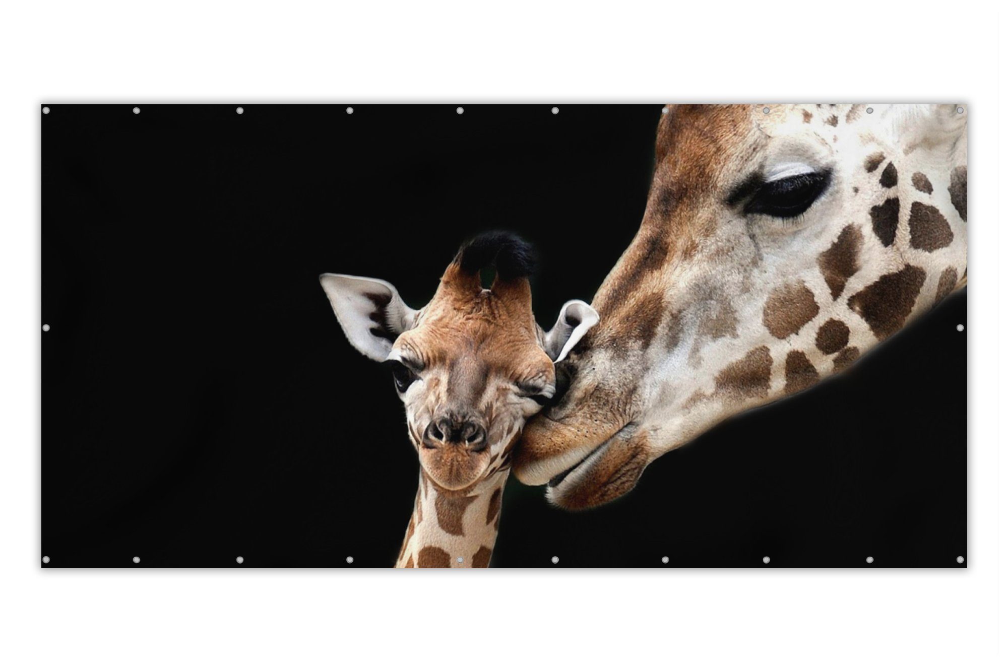 MuchoWow Balkonsichtschutz Giraffe - Tiere - Schwarz - Porträt - Tiere (1-St) Balkonbespannung mit Metalösen, UV-beständig, Balkonbanner