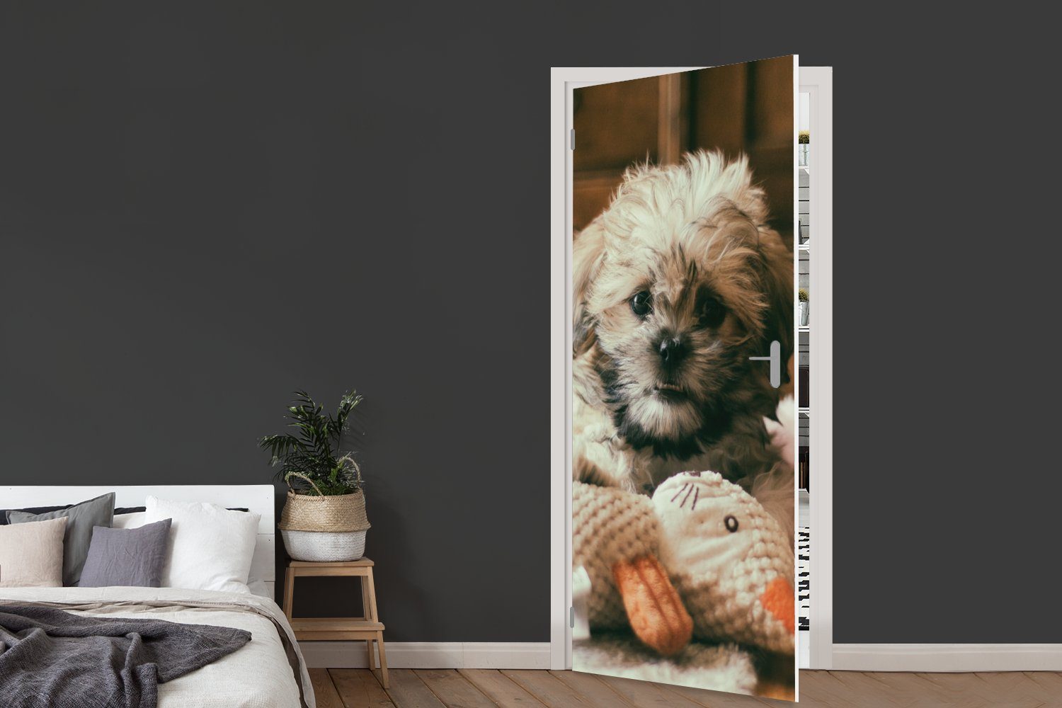 MuchoWow Türtapete Tür, für Tzu-Hund, Shih Boden kuschelt, dem auf Ein St), cm Türaufkleber, Fototapete bedruckt, Matt, der (1 75x205