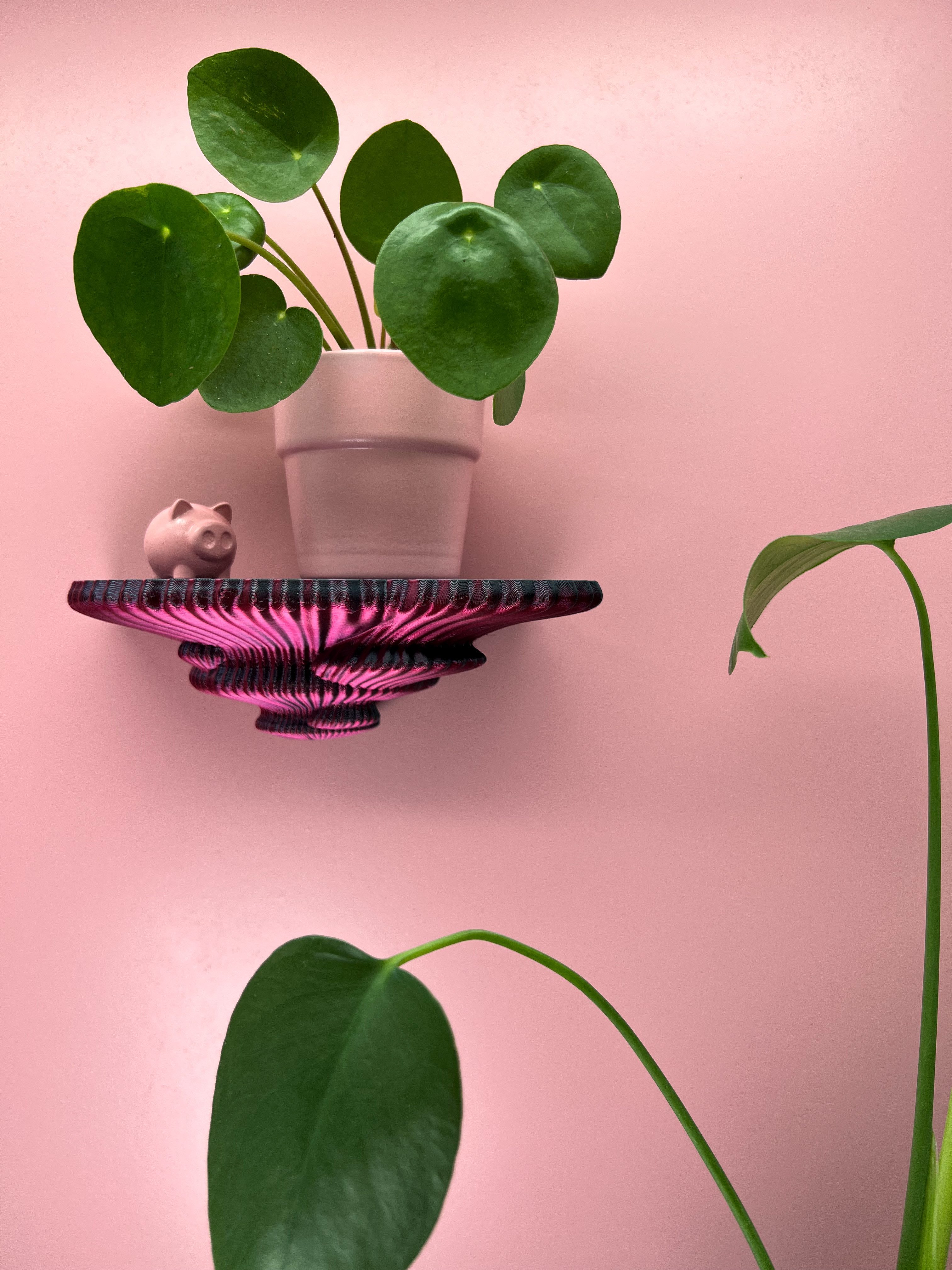 Roomberry Deko-Wandregal Schwebendes Beerenpilz Wandregal – günstig online kaufen