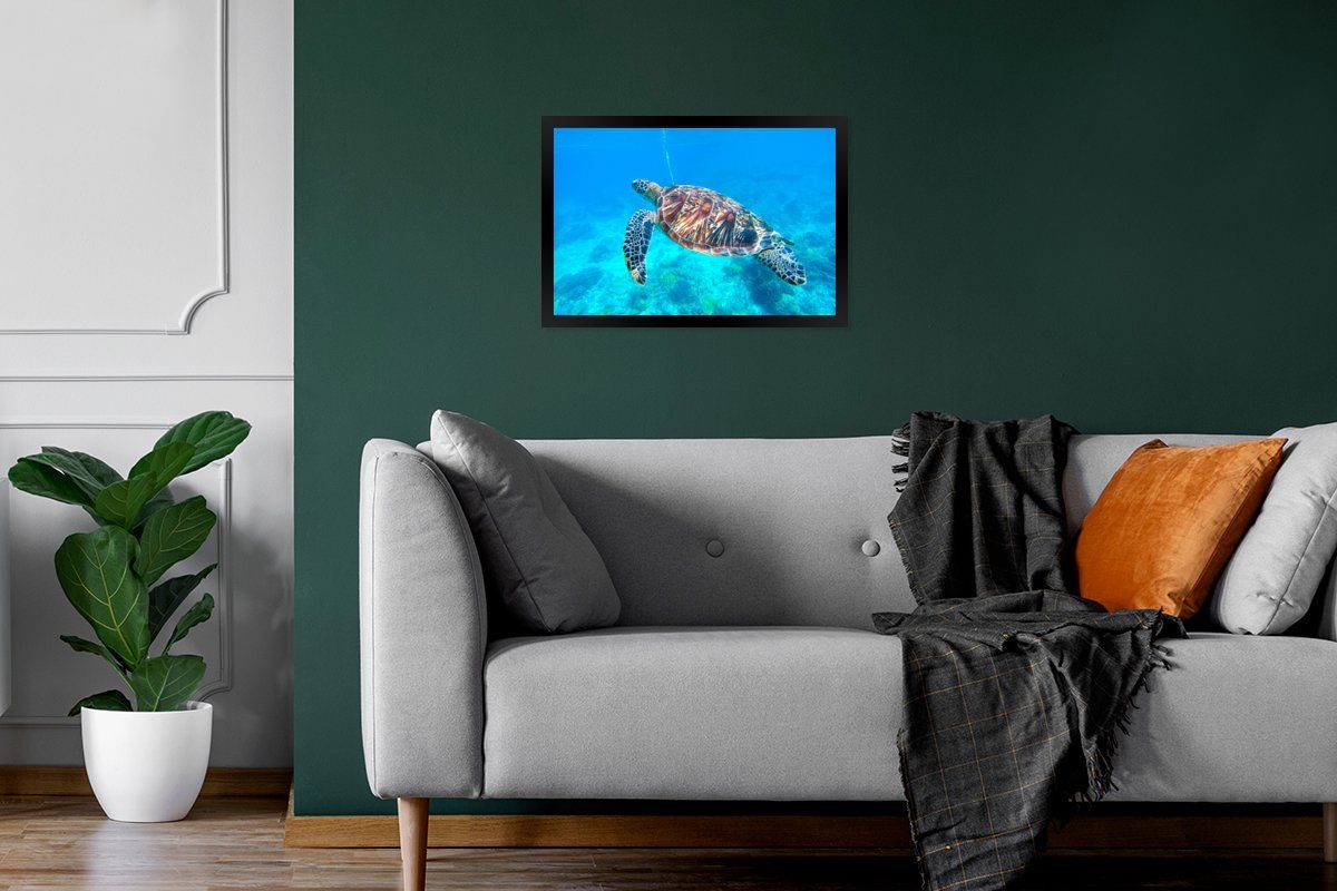 MuchoWow Wandposter, Gerahmtes Meer (1 Schildkröte Bilder, - Wanddeko, - Poster, St), Bilderrahmen Blau, Schwarzem Poster