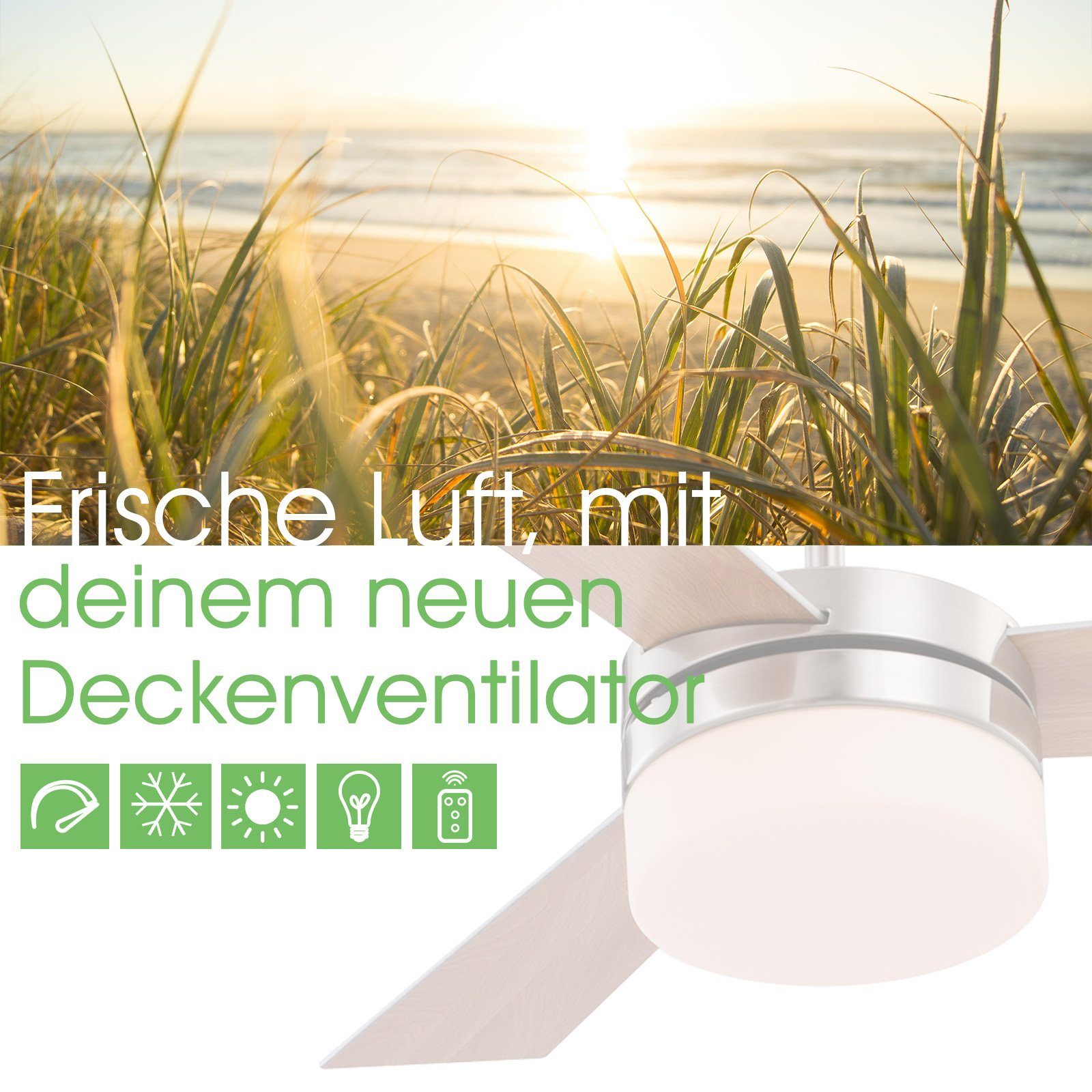 bmf-versand Deckenventilator Deckenventilator mit Licht und günstig online kaufen