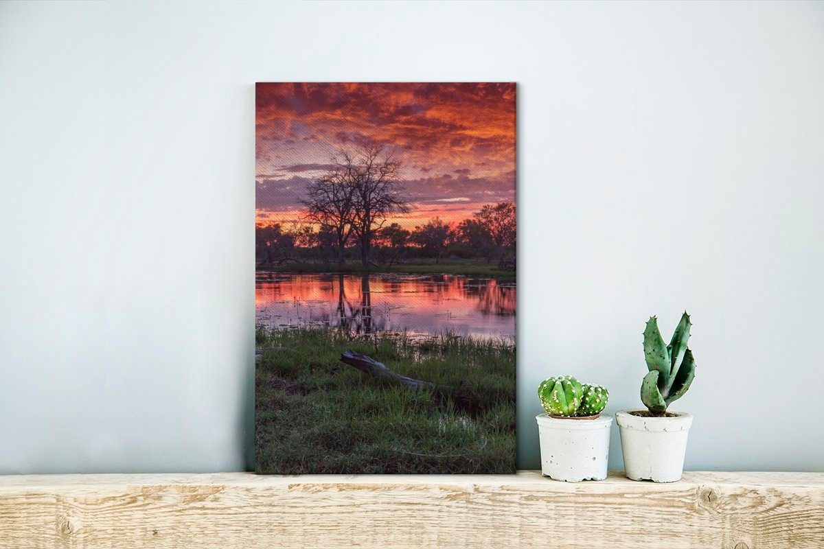 inkl. und Leinwandbild Gemälde, in Leinwandbild fertig Chobe-Nationalpark, 20x30 cm Sumpf bespannt der OneMillionCanvasses® St), Abenddämmerung (1 Zackenaufhänger, Bäume im
