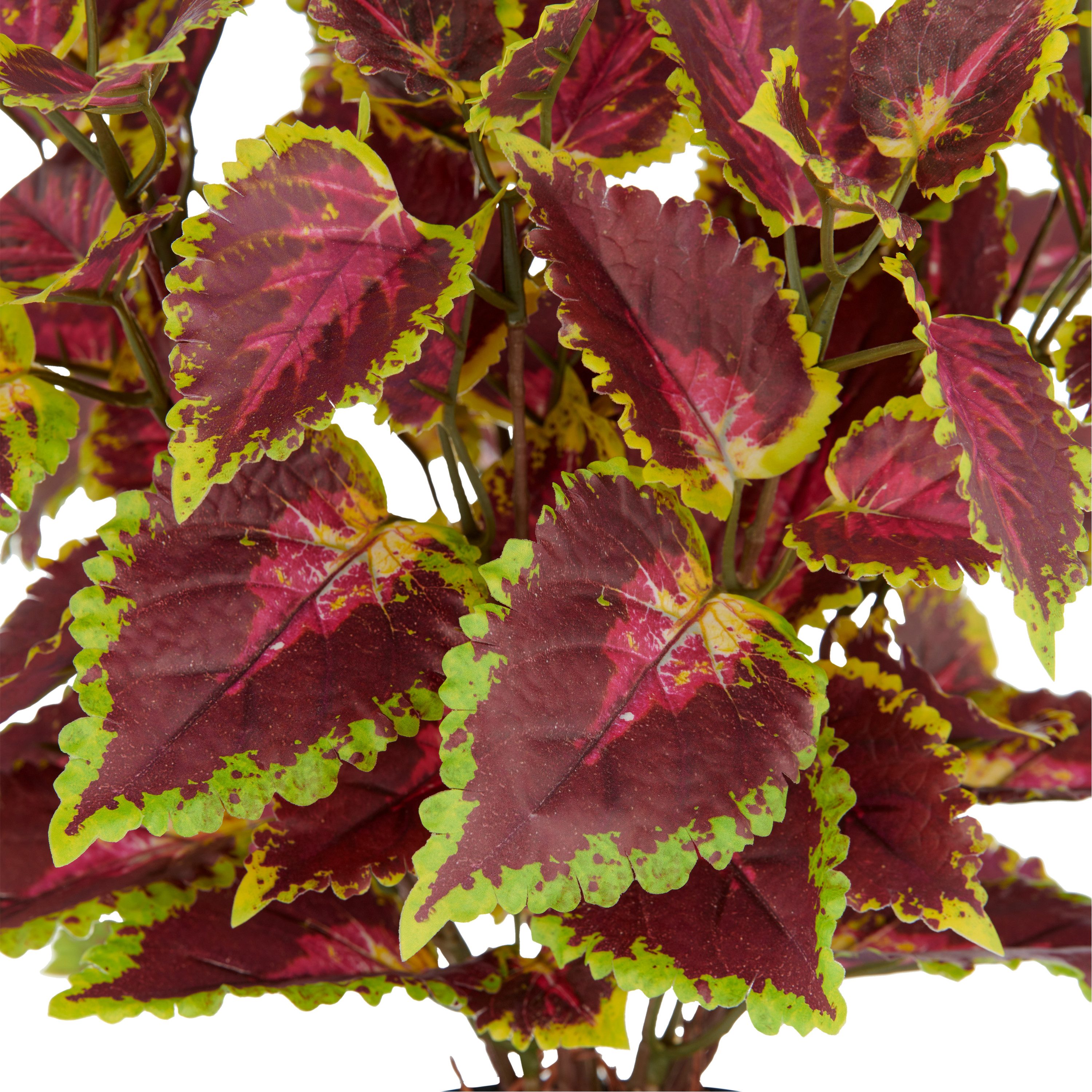 Kunstpflanze Buntnessel Coleus Kong red, Creativ green, Höhe 40 cm, mit Luf günstig online kaufen