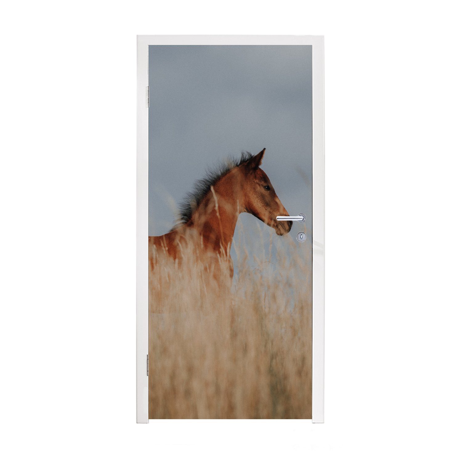 MuchoWow Türtapete Pferd - Luft - Gras, Matt, bedruckt, (1 St), Fototapete für Tür, Türaufkleber, 75x205 cm