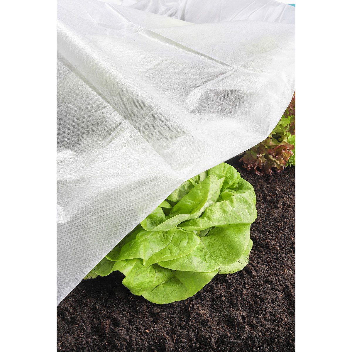 Blumenkralle Gartenvlies Pflanzenschutzsack Wintervlies Kälteschutz Pflanzen Bäu