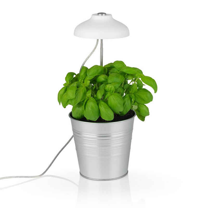 MAXXMEE Pflanzenlampe, LED-Pflanzenleuchte höhenverstellbar