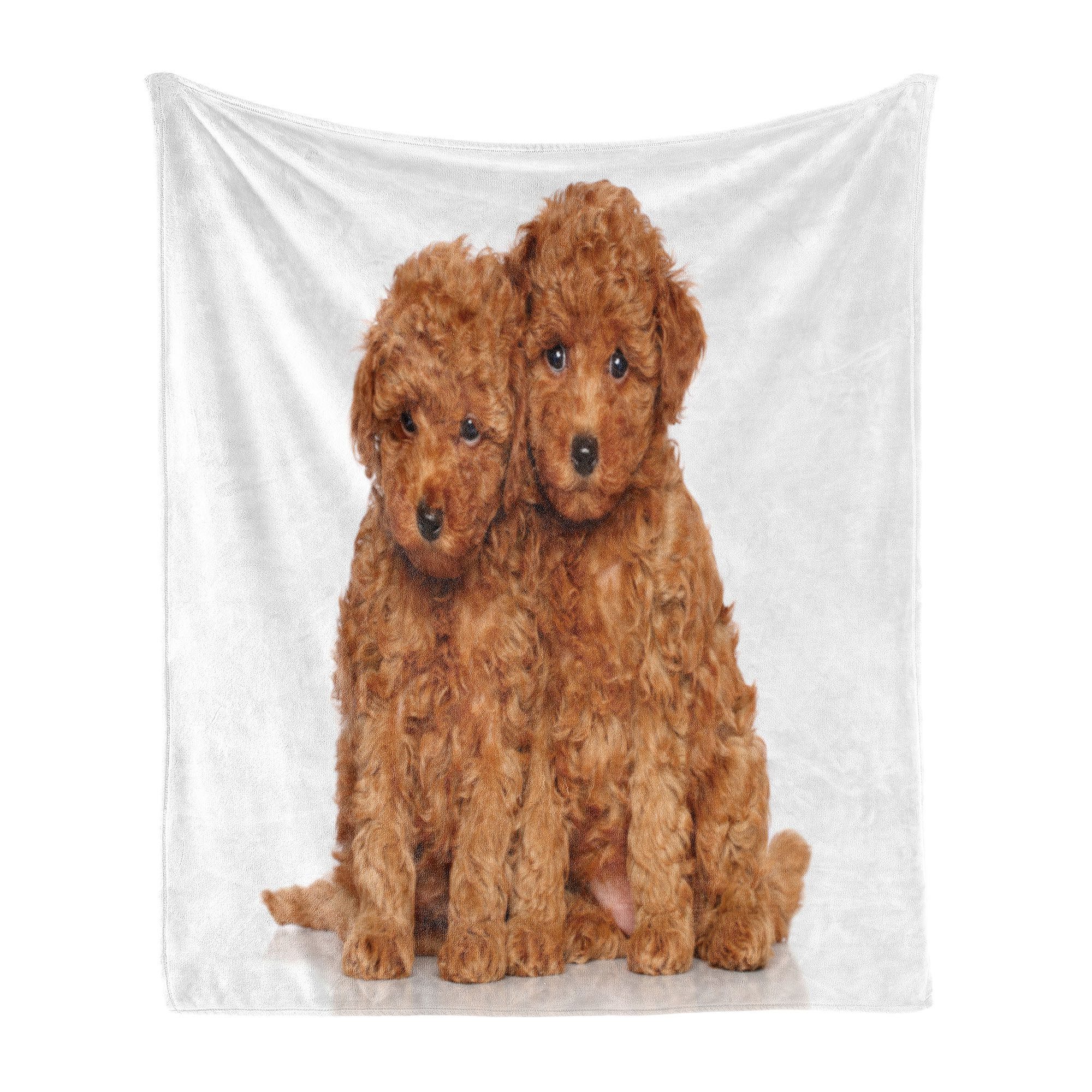 Wohndecke Gemütlicher Plüsch für den Innen- und Außenbereich, Abakuhaus, Pu günstig online kaufen