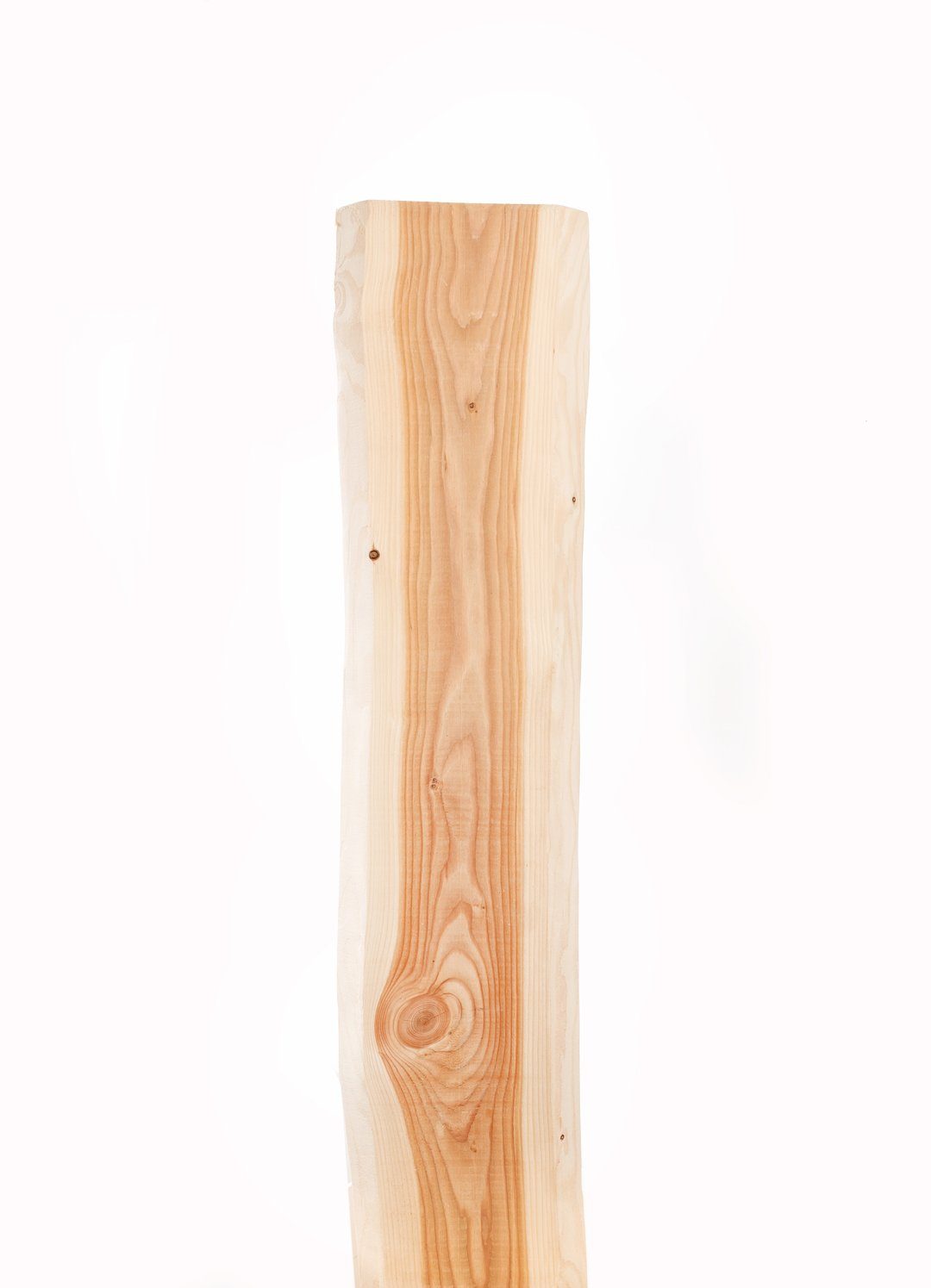 Mega-Holz Holzzaun Zaunlatten-Paket Natura 100cm 10 Stück, (Sparset, 10-St), naturbelassenes Lärchenholz