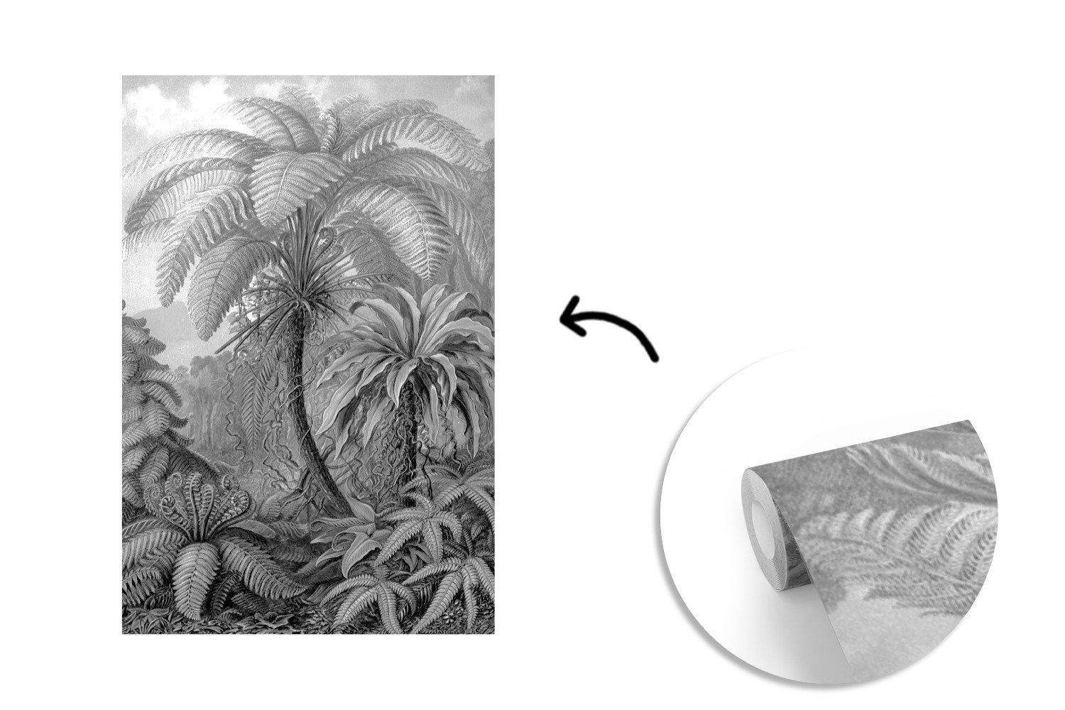 Fototapete (3 MuchoWow Tapete Schwarz - und Illustration Botanisch, weiß - Design Matt, für bedruckt, - Wohnzimmer, - Pflanzen Montagefertig Vinyl St), Wandtapete