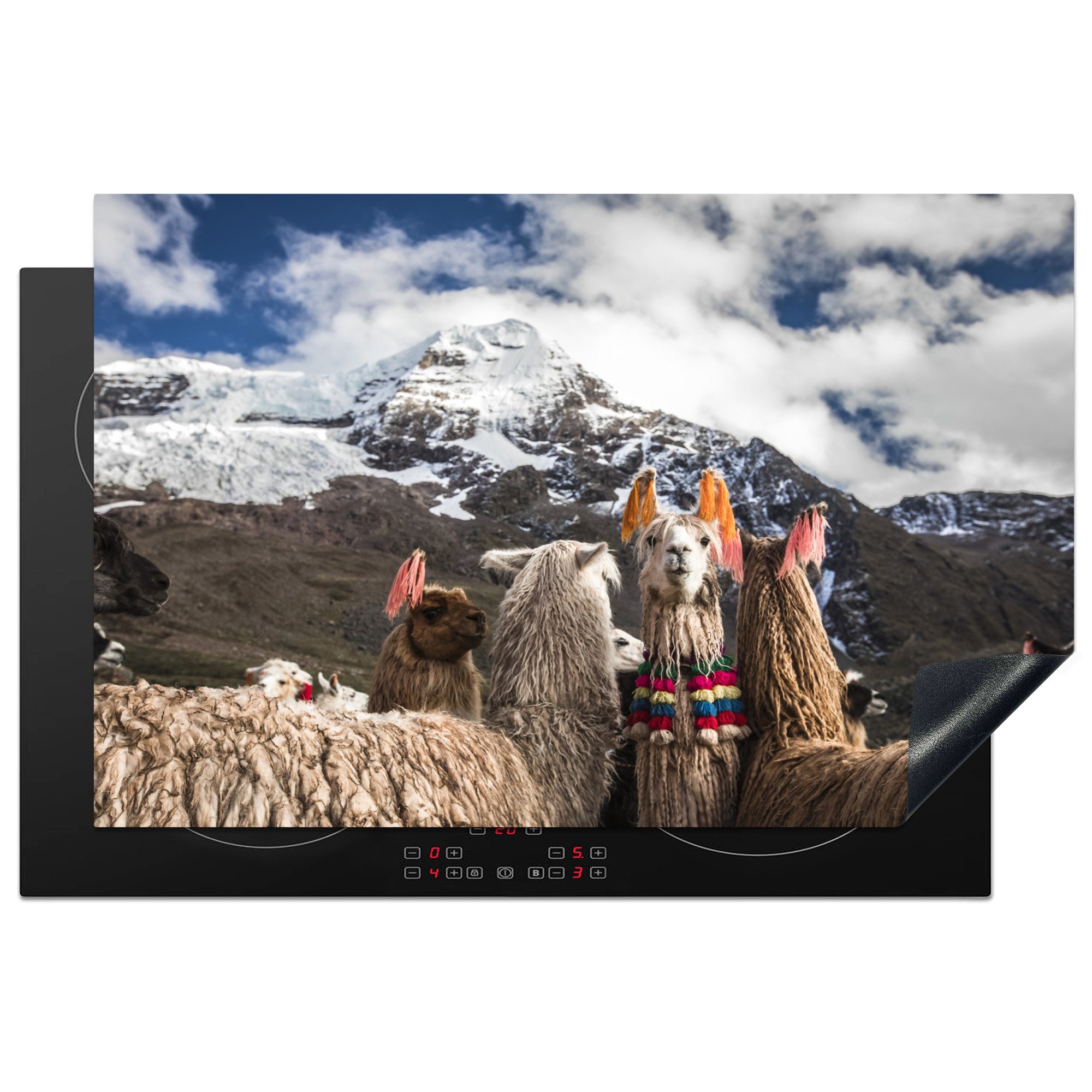 MuchoWow Herdblende-/Abdeckplatte Lamas in Peru, Vinyl, (1 tlg), 81x52 cm, Induktionskochfeld Schutz für die küche, Ceranfeldabdeckung