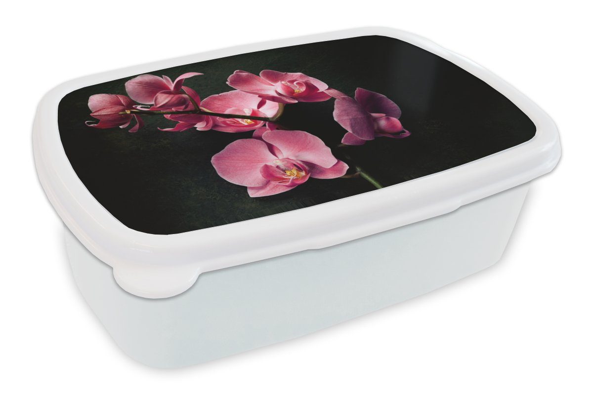 Mädchen Kunststoff, für - Pflanzen Rosa, - Brotbox (2-tlg), und Erwachsene, für Brotdose, MuchoWow Jungs und - Lunchbox Blumen weiß Orchidee Kinder