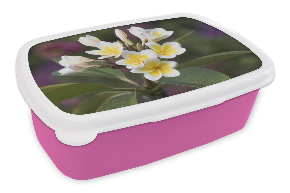 MuchoWow Lunchbox Die weiße und gelbe Plumeria-Blüte, Kunststoff, (2-tlg), Brotbox für Erwachsene, Brotdose Kinder, Snackbox, Mädchen, Kunststoff rosa