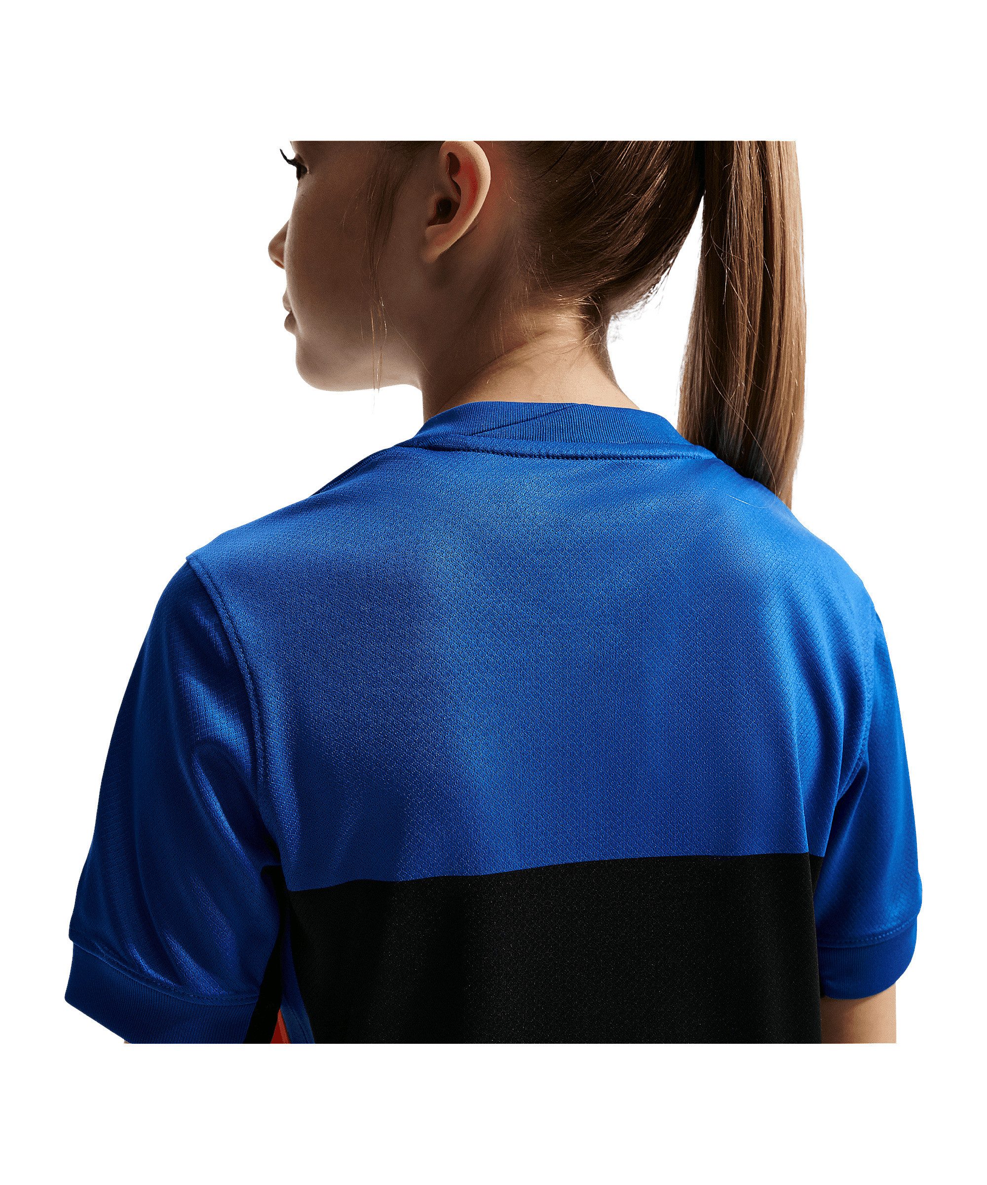 Nike Fußballtrikot Nike Performance Teamsport