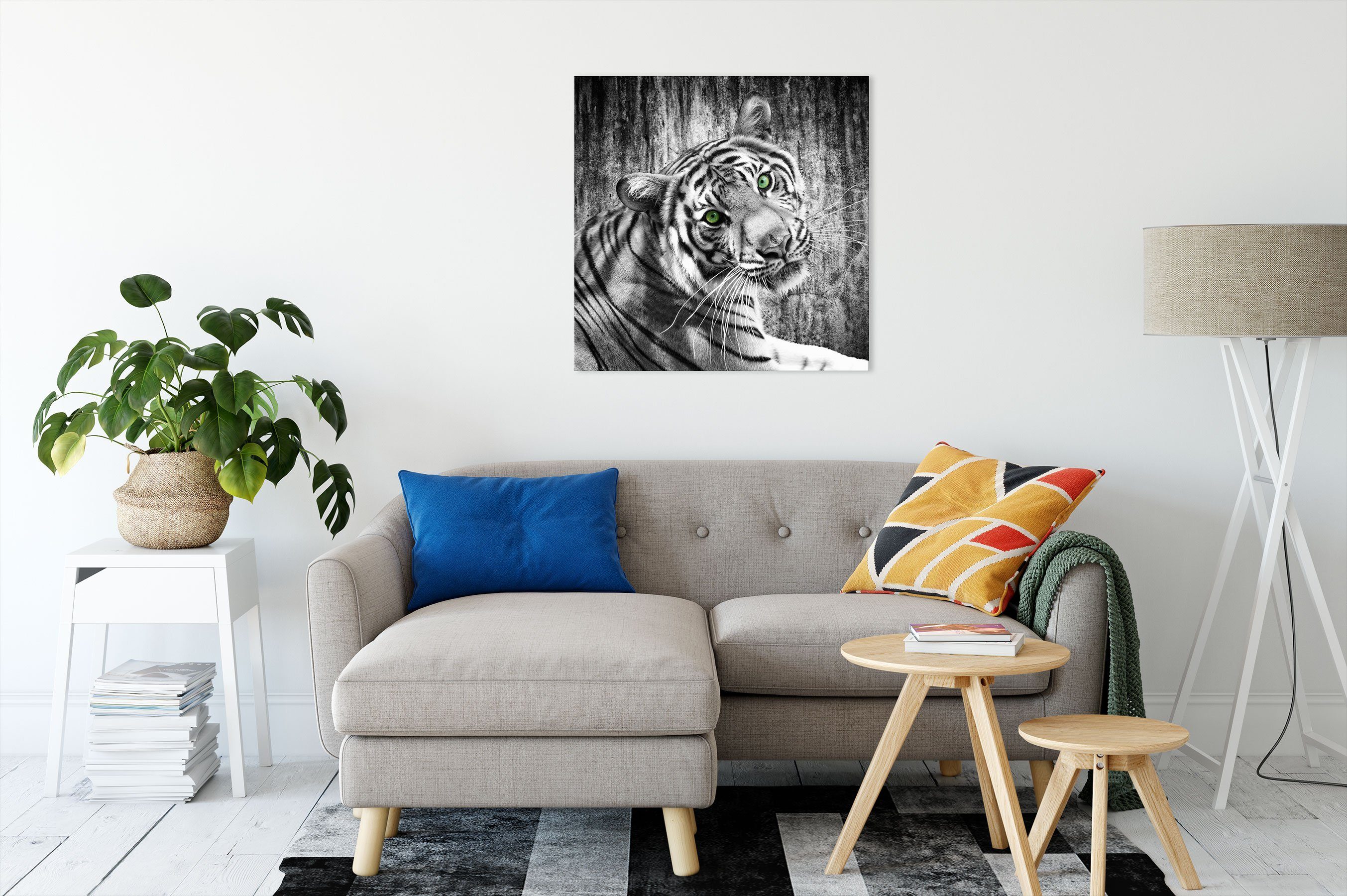 inkl. (1 bespannt, Pixxprint Tiger, neugieriger St), Zackenaufhänger Tiger schöner Leinwandbild Leinwandbild fertig schöner neugieriger