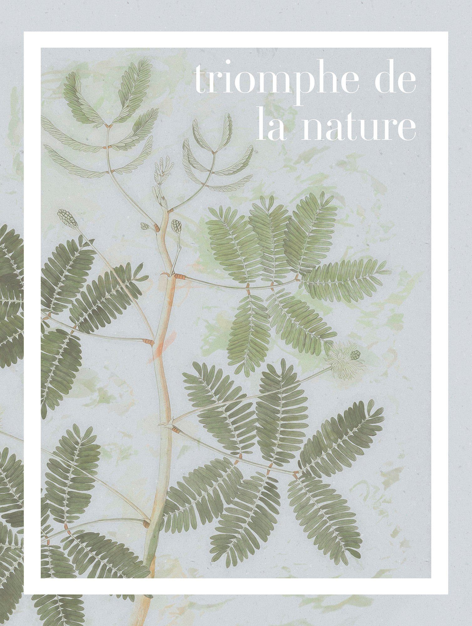 Komar Bild PLANT ART Triomphe de la nature, Natur (1 St), Wandbild zur Dekoration - ohne Rahmen