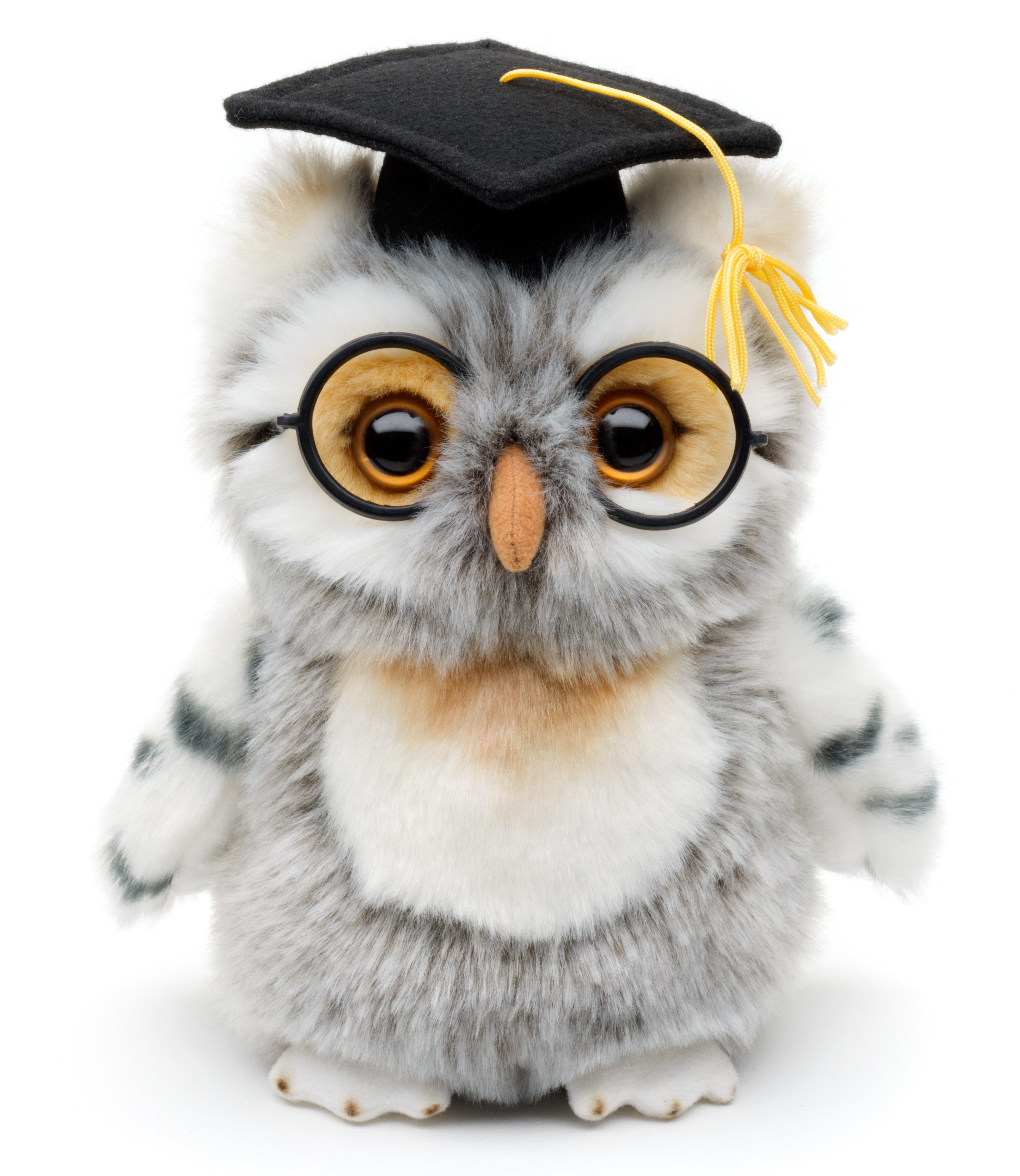 Uni-Toys Kuscheltier Eule mit Doktorhut und Brille - 18 cm (Höhe) - Plüsch, günstig online kaufen