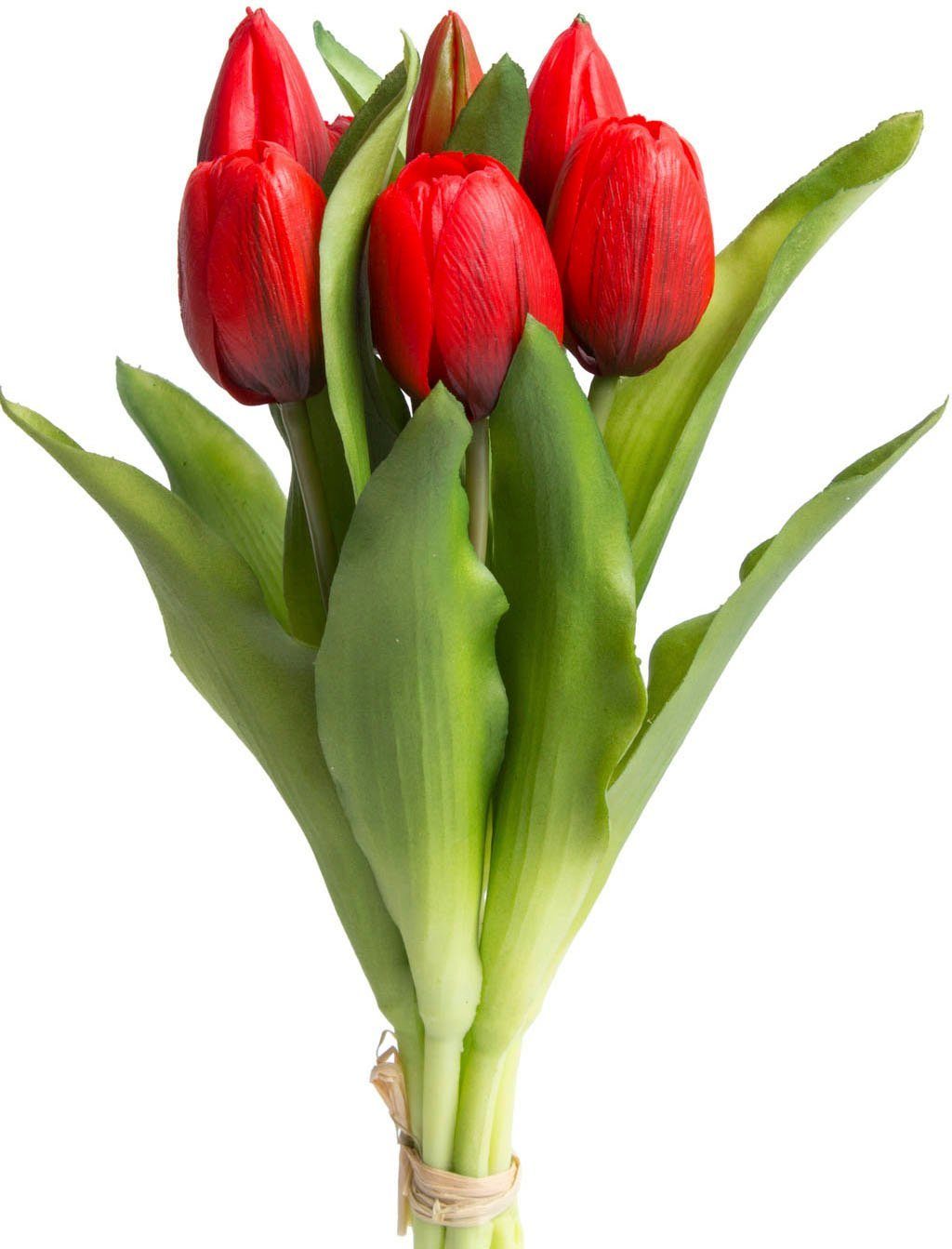 Artikel, um das Leben zu genießen Kunstblume Willa 32 Tulpenbündel 7er-Set im rot Höhe Botanic-Haus, cm, Tulpe
