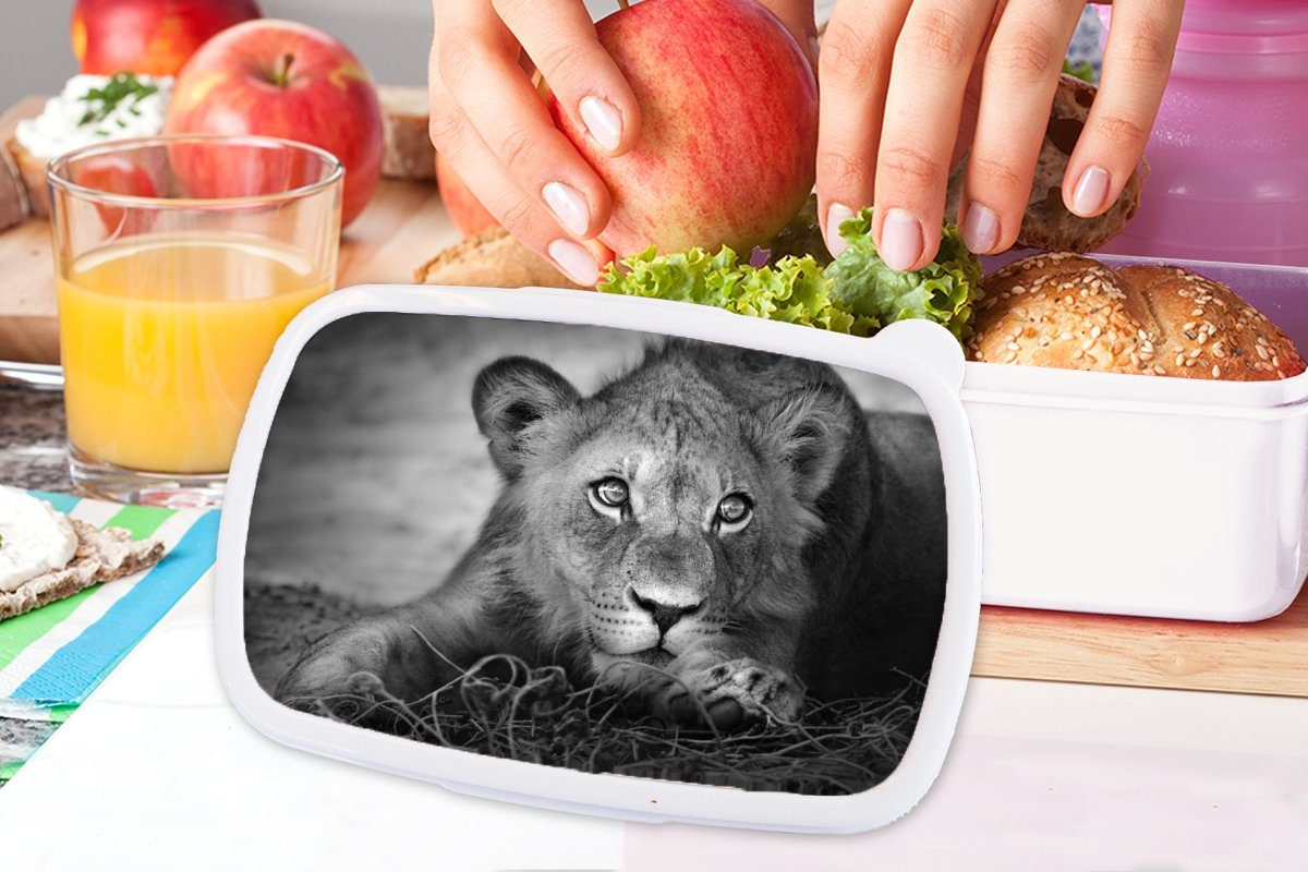 MuchoWow Lunchbox - Wildtiere Mädchen Brotbox Kunststoff, und Schwarz für (2-tlg), für Weiß, - Jungs - Kinder und Erwachsene, Löwe - Natur Brotdose
