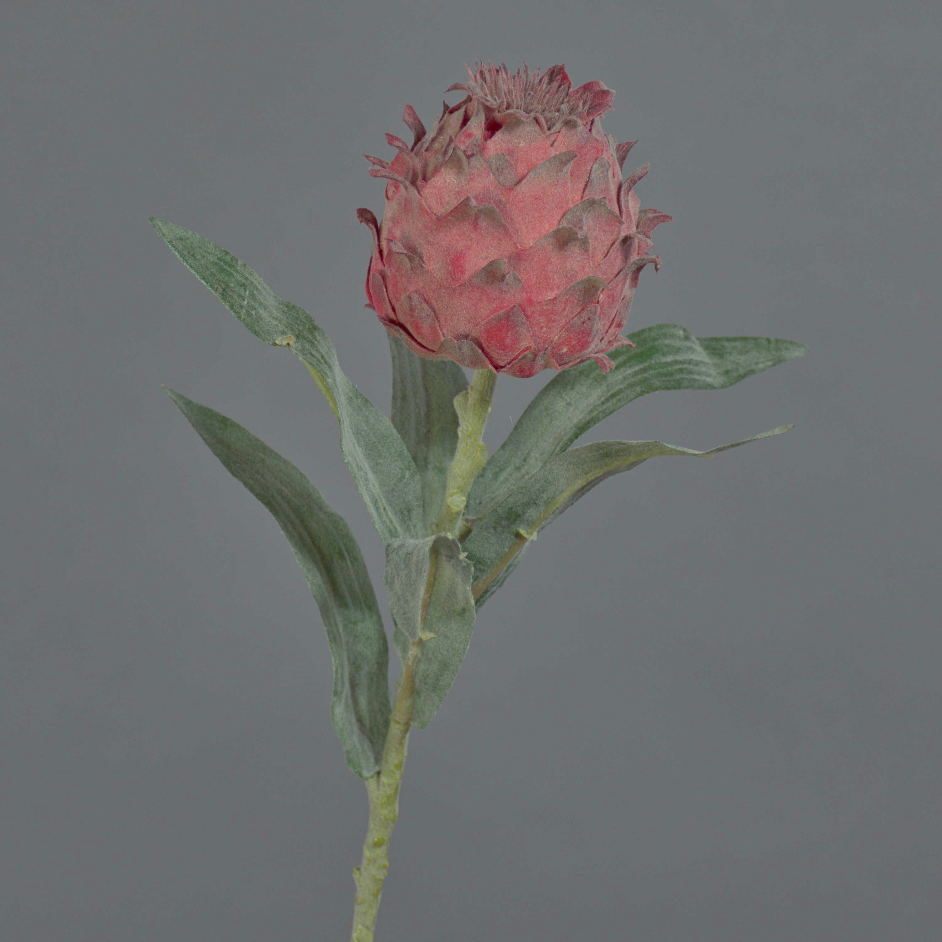 Kunstblume Artischocken Blüte LANQIN, Burgunderrot, 60cm Artischocke, artplants, Höhe 60.0 cm