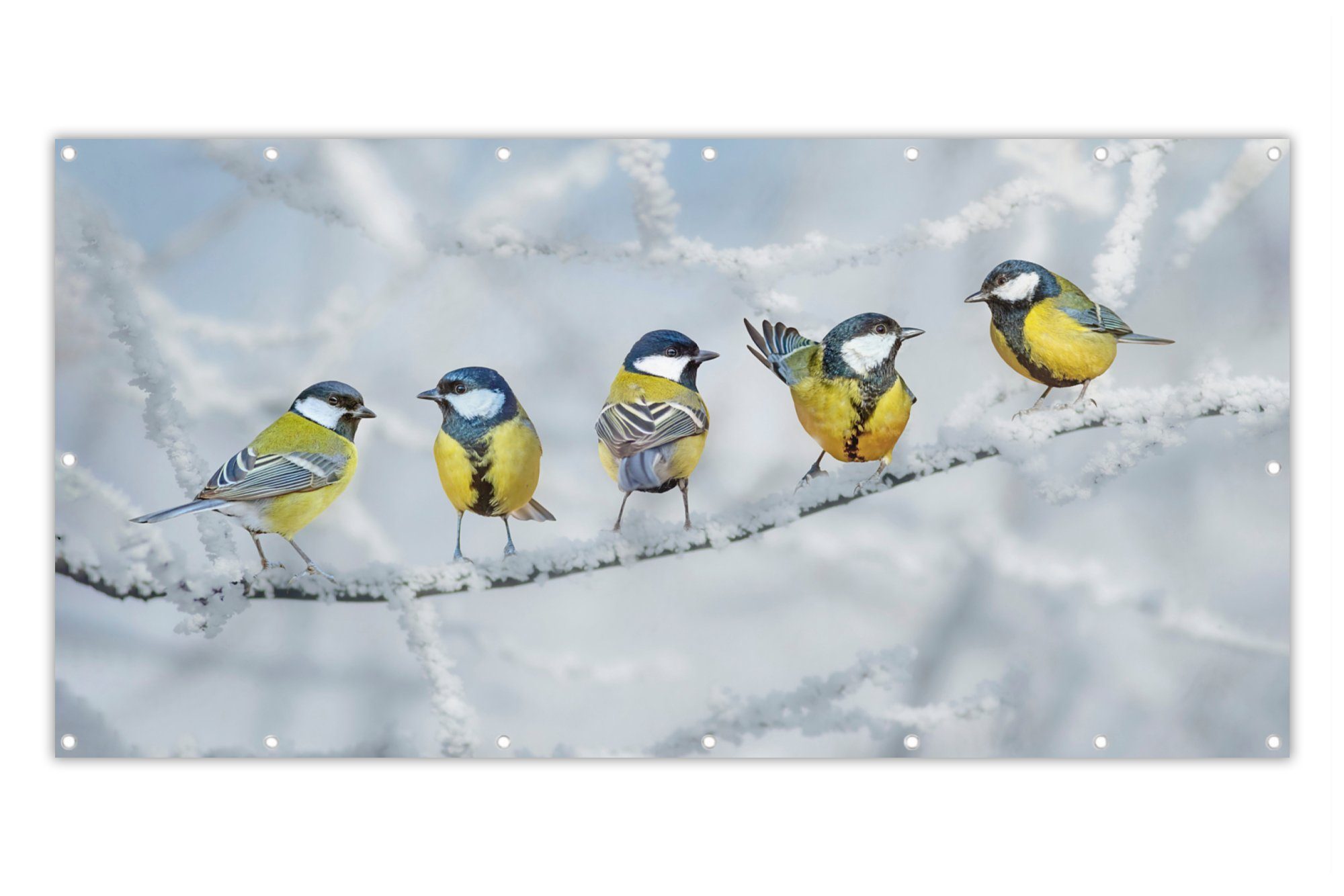 MuchoWow Balkonsichtschutz Vogel - Kohlmeise - Winter - Schnee - Zweige (1-St) Balkon Sichtschutz 90x200, Windschutz für Zaun PVC, 200x90 cm