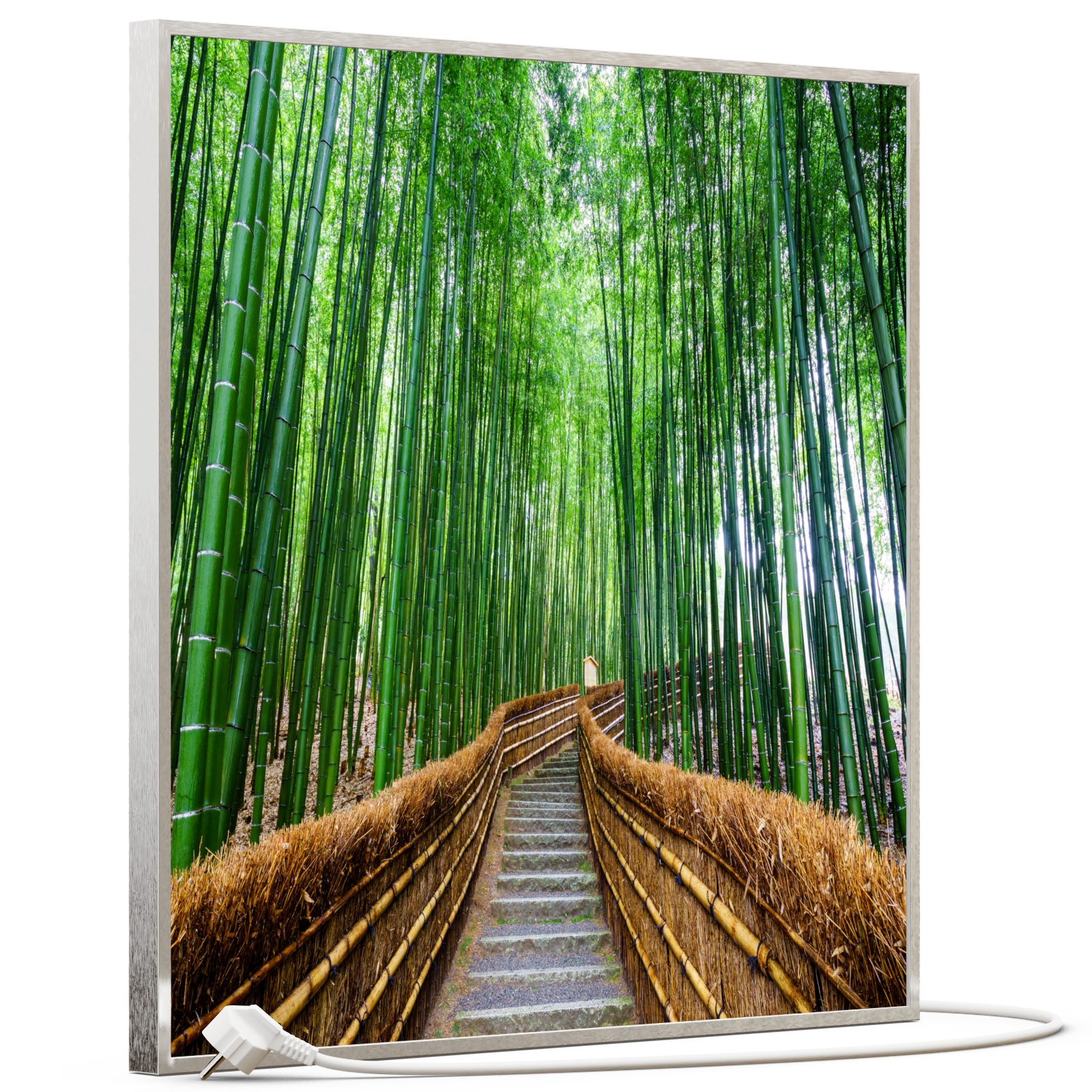 STEINFELD Heizsysteme Infrarotheizung, Bild, 350W 60x60cm, Inklusive Thermostat, viele Motive