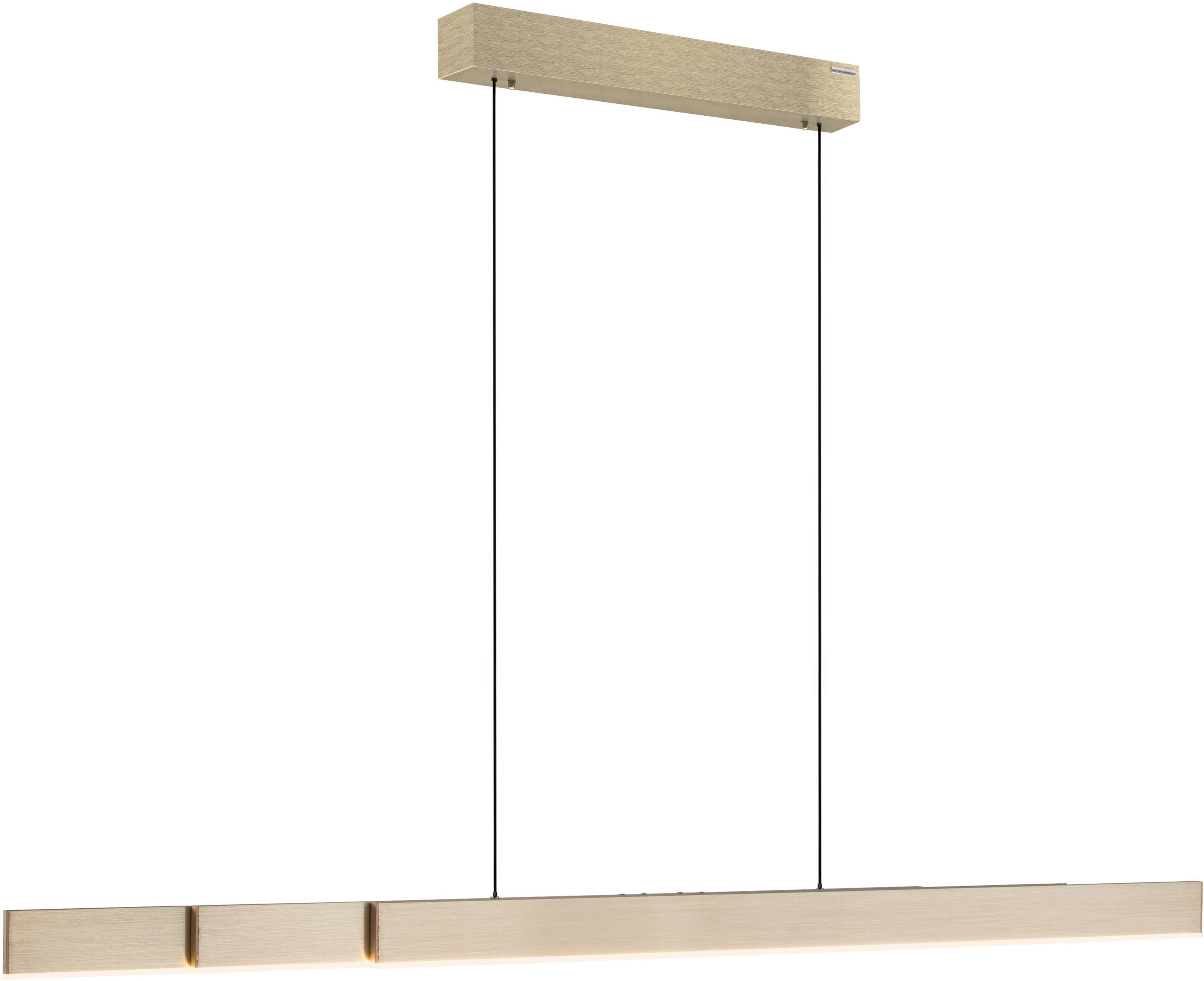 Neuhaus PURE LED Pendelleuchte PURE Moto-Rise, CCT - über Fernbedienung, LED fest integriert, warmweiß - kaltweiß, e-LIFT® Funktion, e-SLIDE® Funktion, Fernbedienung
