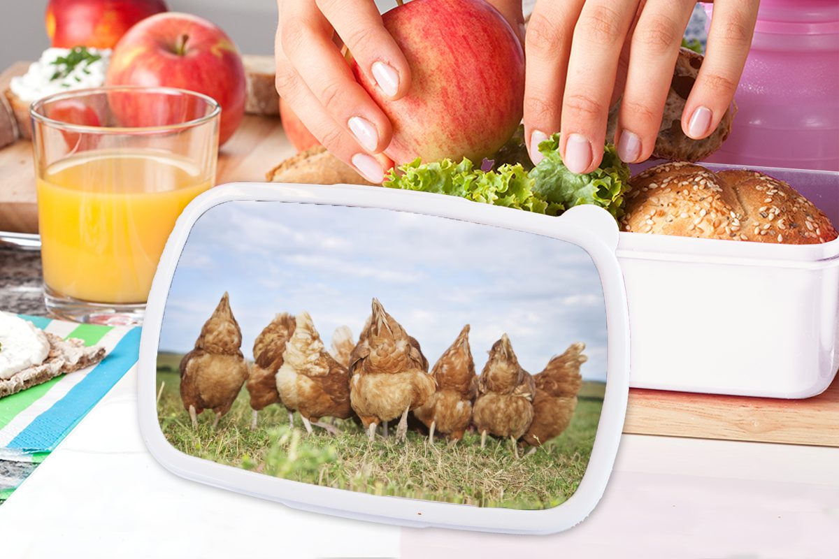 MuchoWow Lunchbox Hühner weiß und Jungs Erwachsene, für (2-tlg), dem Kunststoff, Brotdose, Mädchen und auf Feld, für Brotbox Kinder