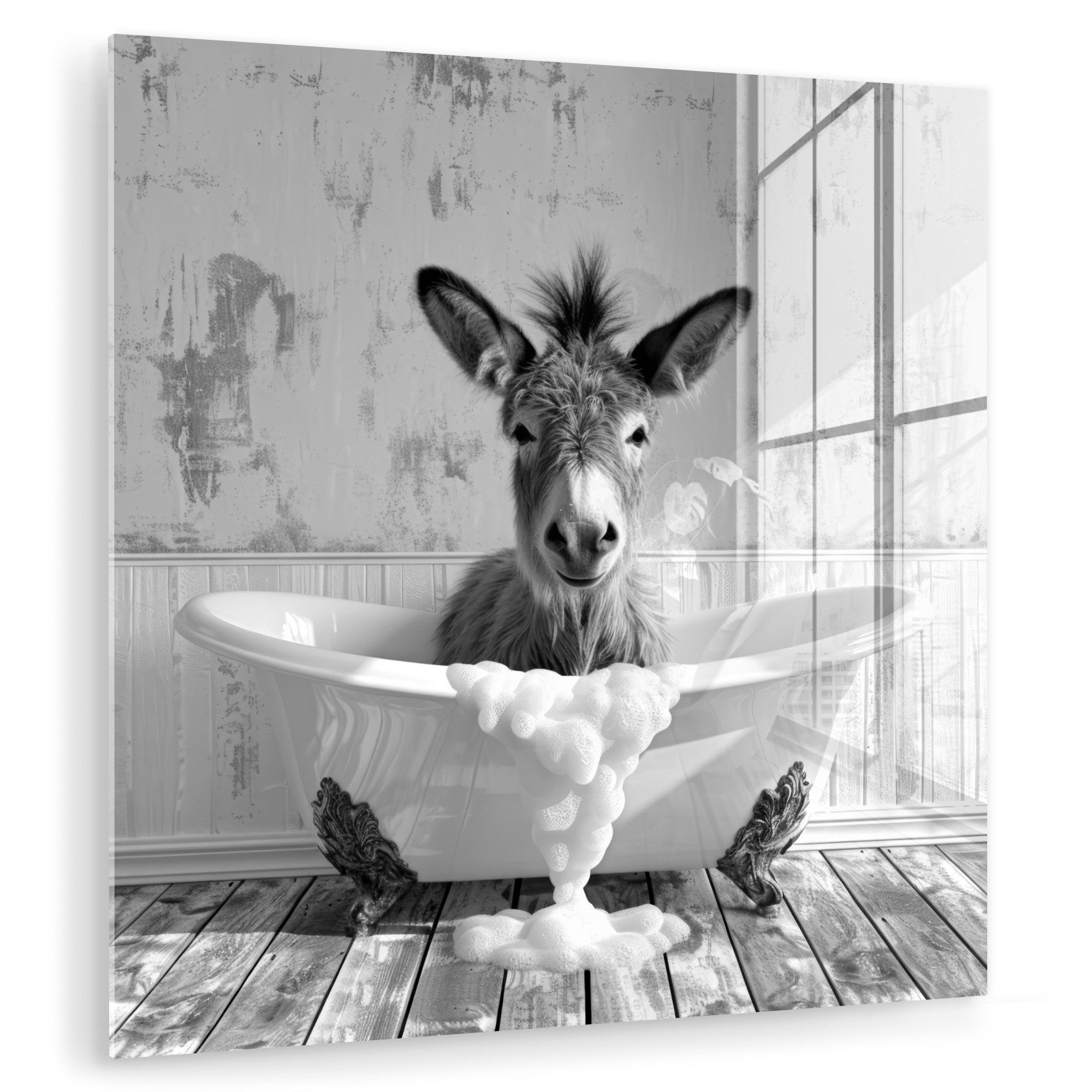 MuchoWow Acrylglasbild Esel - Tier - Vintage - Badewanne - Schwarz - Weiß, günstig online kaufen