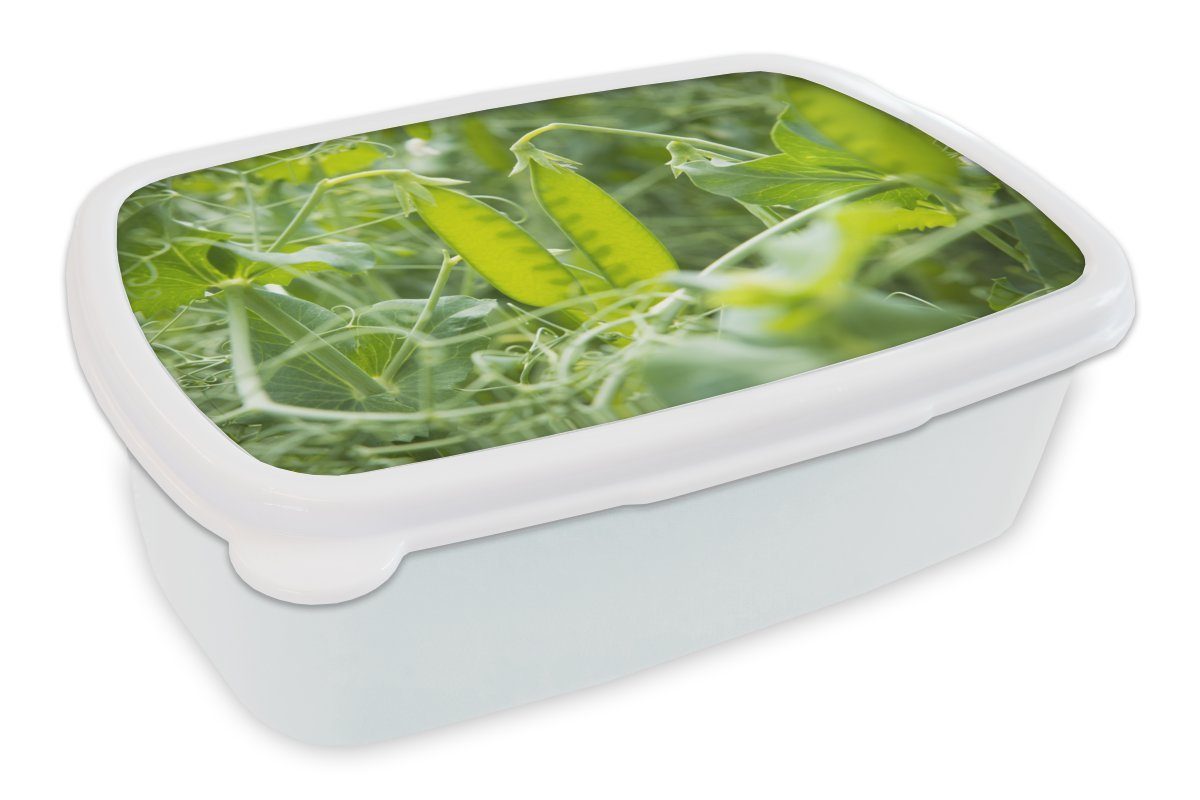MuchoWow Lunchbox Gemüse - Grün - Bohnen, Kunststoff, (2-tlg), Brotbox für Kinder und Erwachsene, Brotdose, für Jungs und Mädchen weiß