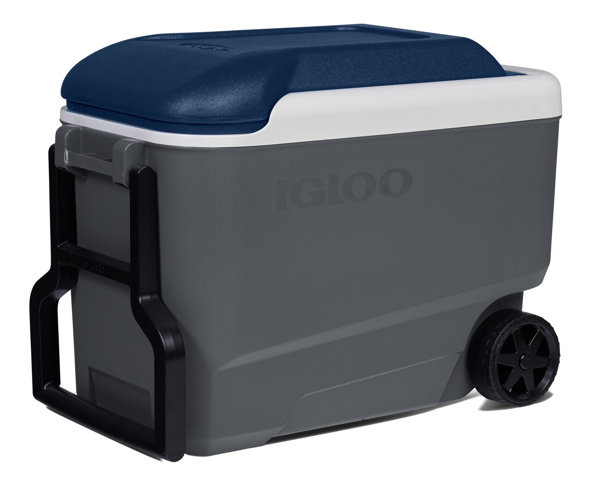 Igloo Kühlbox Maxcold 40qt Roller, 37 l