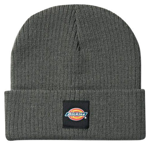 Gray Evadale Beanie Dickies