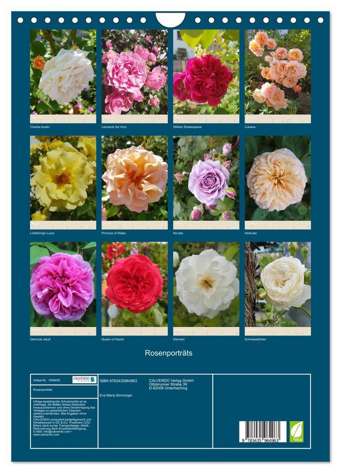 Thumbnail - CALVENDO Wandkalender Rosenporträts (Wandkalender 2025 DIN A4 hoch), CALVENDO Monatskalender