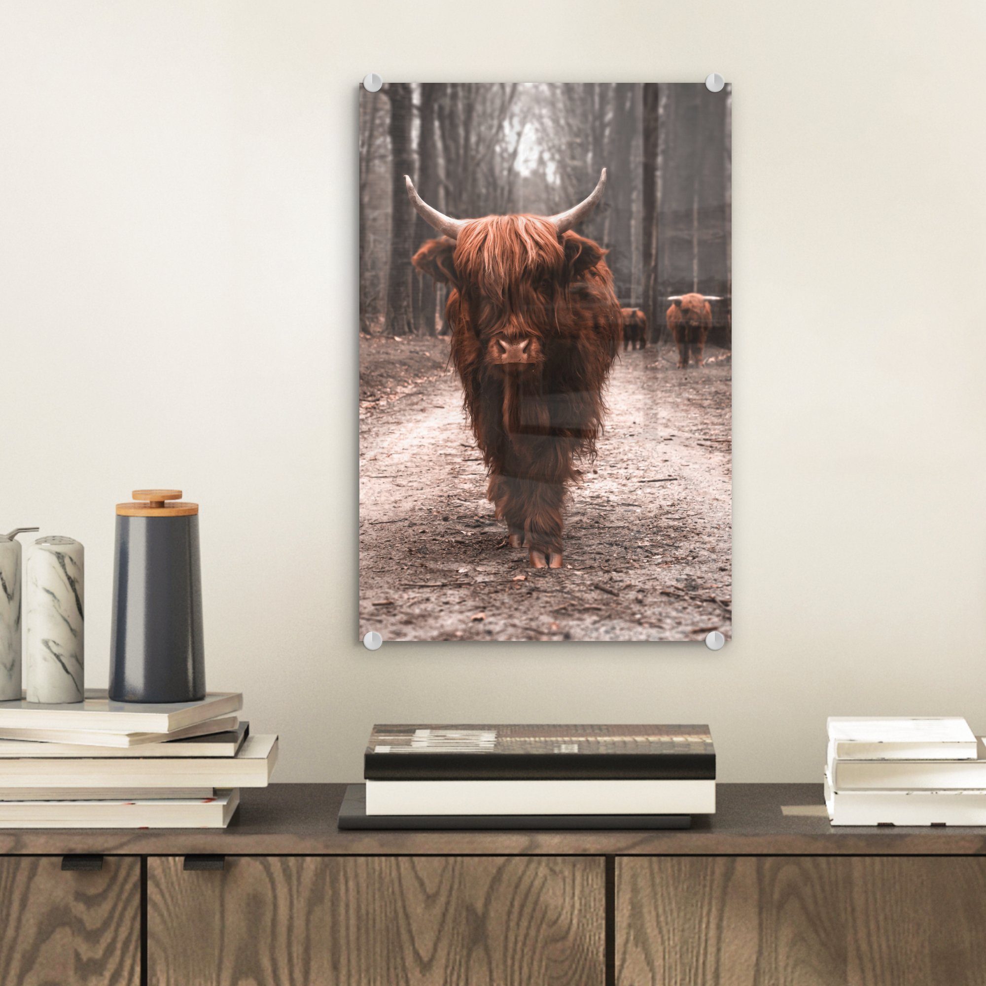 MuchoWow Acrylglasbild Schottischer Hochländer - Wald günstig online kaufen