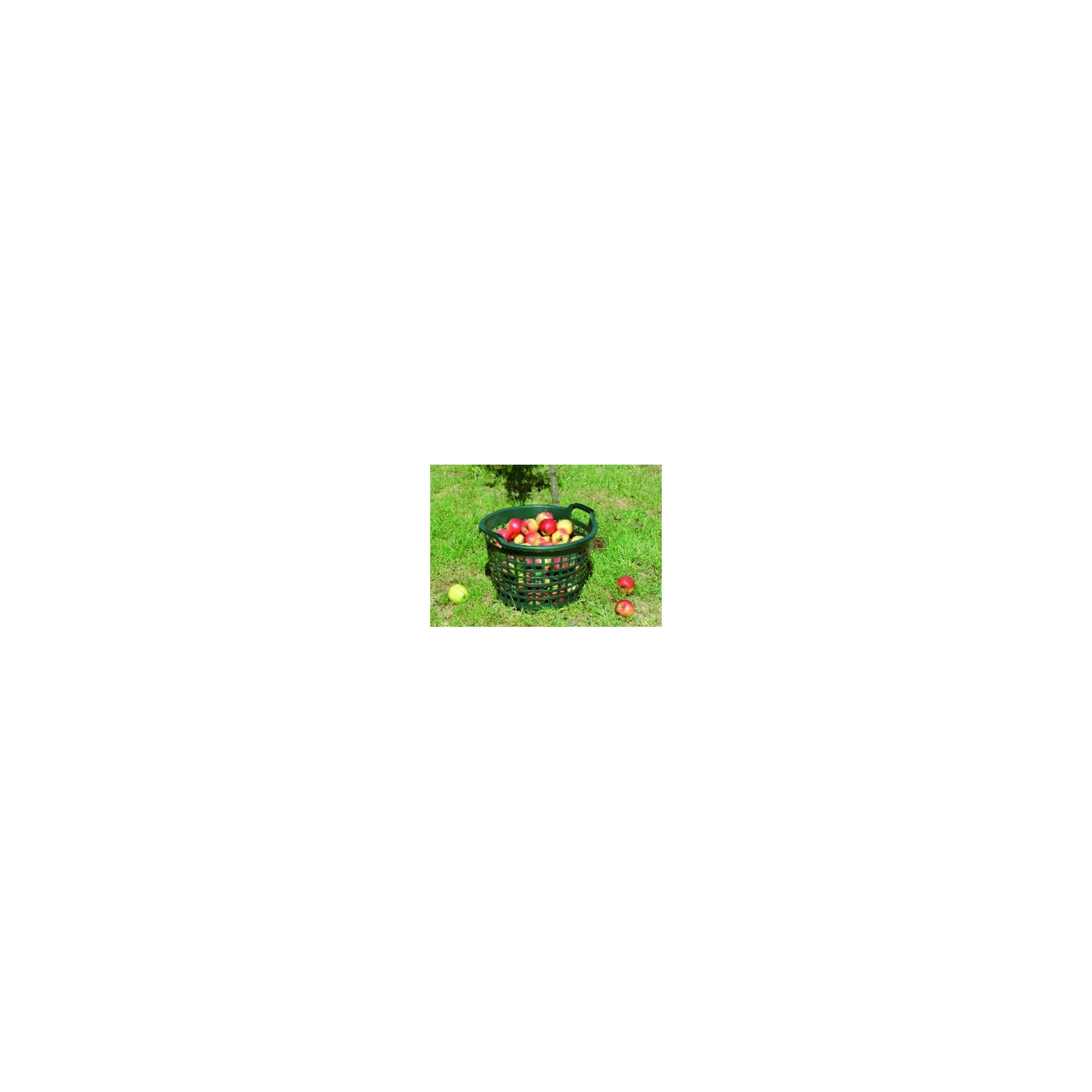 Floraworld Transportroller floraworld Gartenkorb 15kg rund