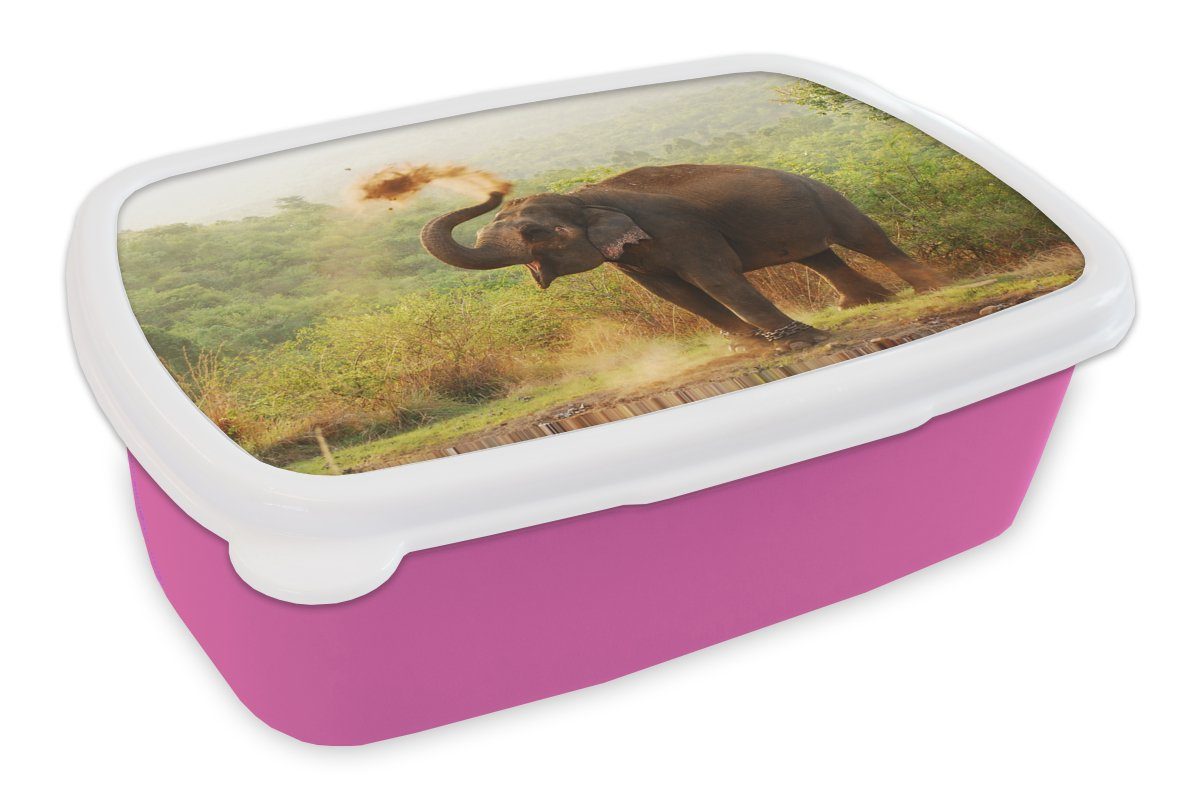 MuchoWow Lunchbox Elefant - Tiere - Wald - Bäume, Kunststoff, (2-tlg), Brotbox für Erwachsene, Brotdose Kinder, Snackbox, Mädchen, Kunststoff rosa | Lunchboxen
