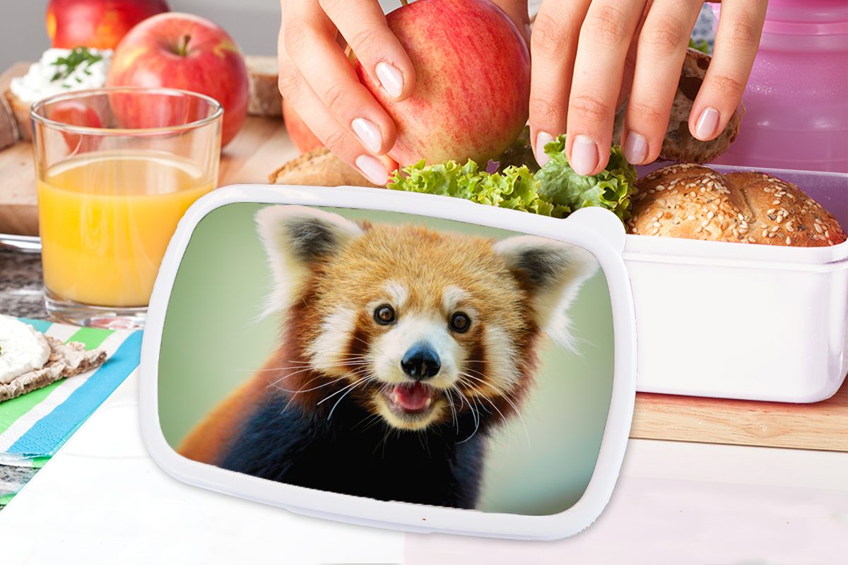 MuchoWow Lunchbox Roter Panda für Erwachsene, Brotdose, und Kunststoff, Brotbox - Schwarz, weiß - für Mädchen (2-tlg), Jungs Kinder Orange und