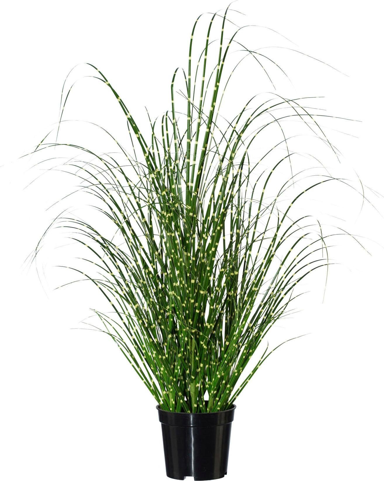Kunstgras Miscanthus, Creativ green
